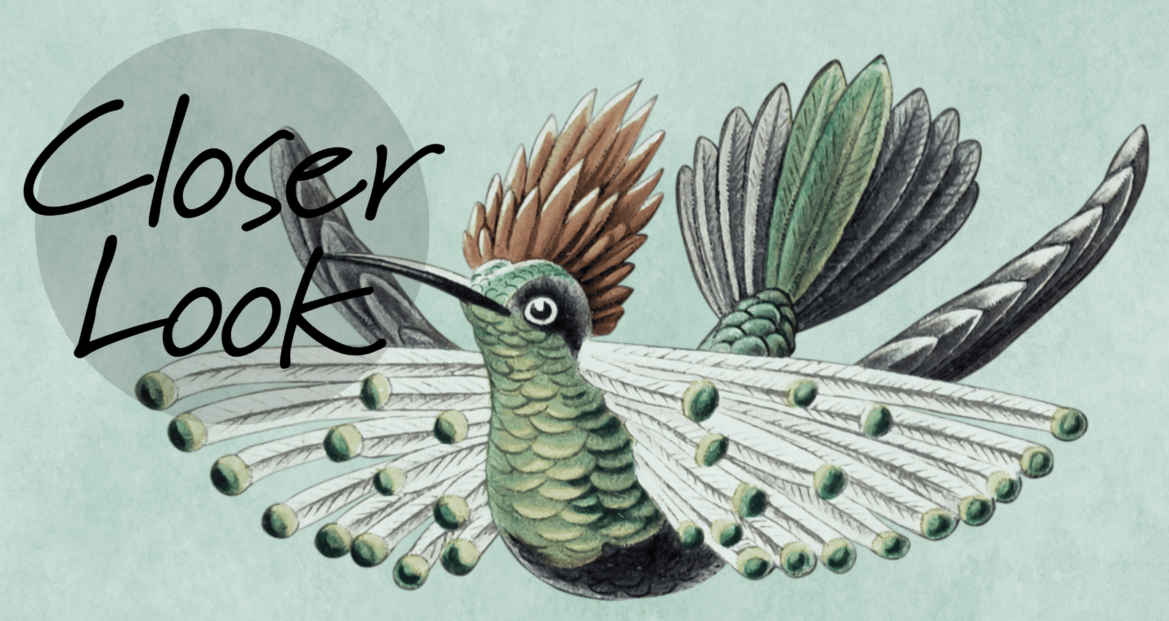 Antique Hummingbirds Wallpaper Mural 