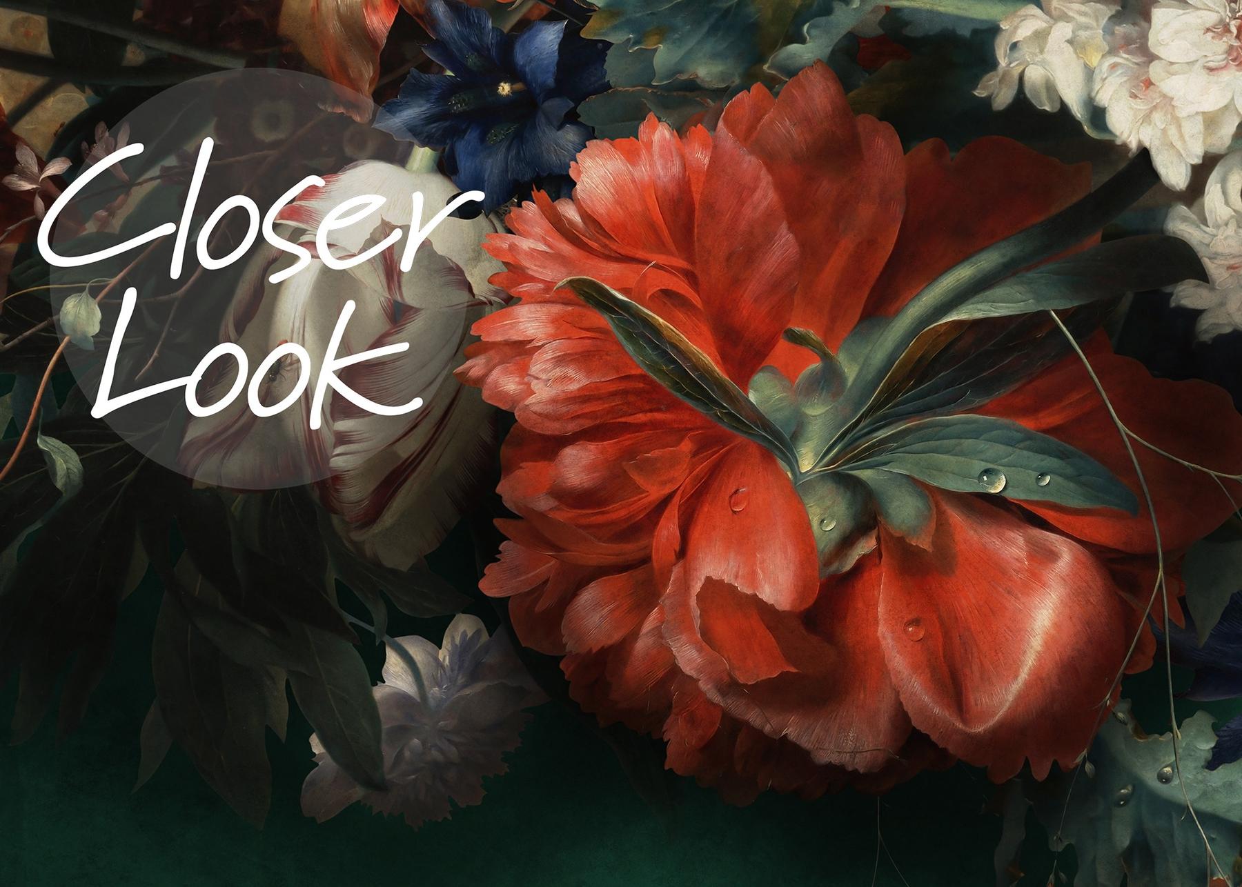 Elegant Dark Floral Blooms Wallpaper Mural