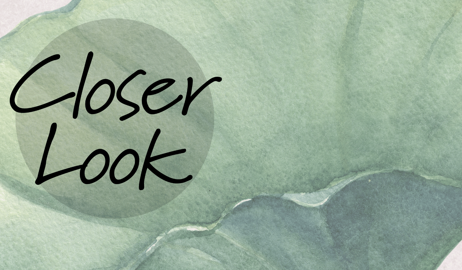 Watercolor Lotus Flower Wallpaper Mural