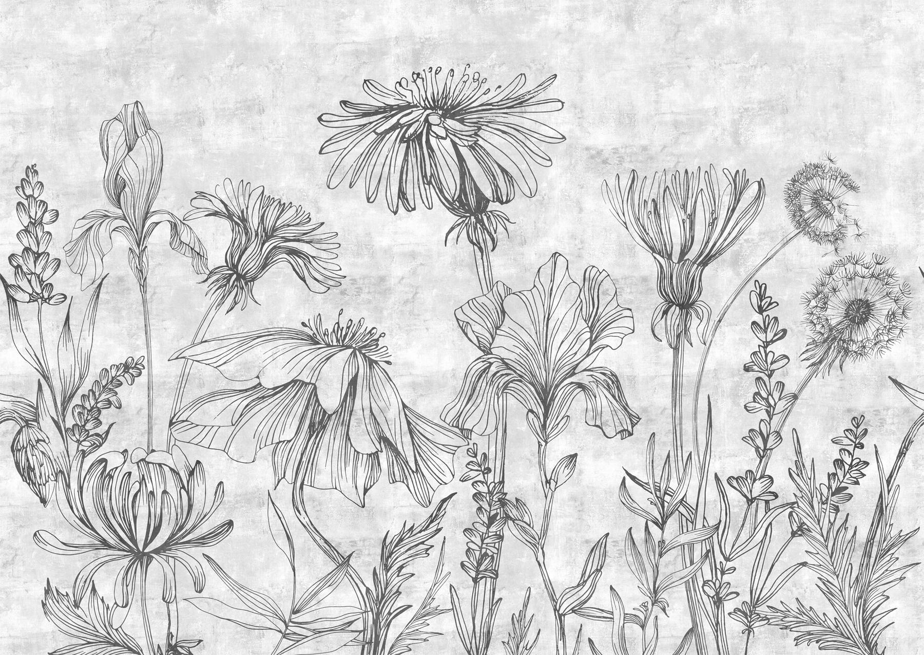 Sketchbook Wildflowers Monochrome Wallpaper Mural