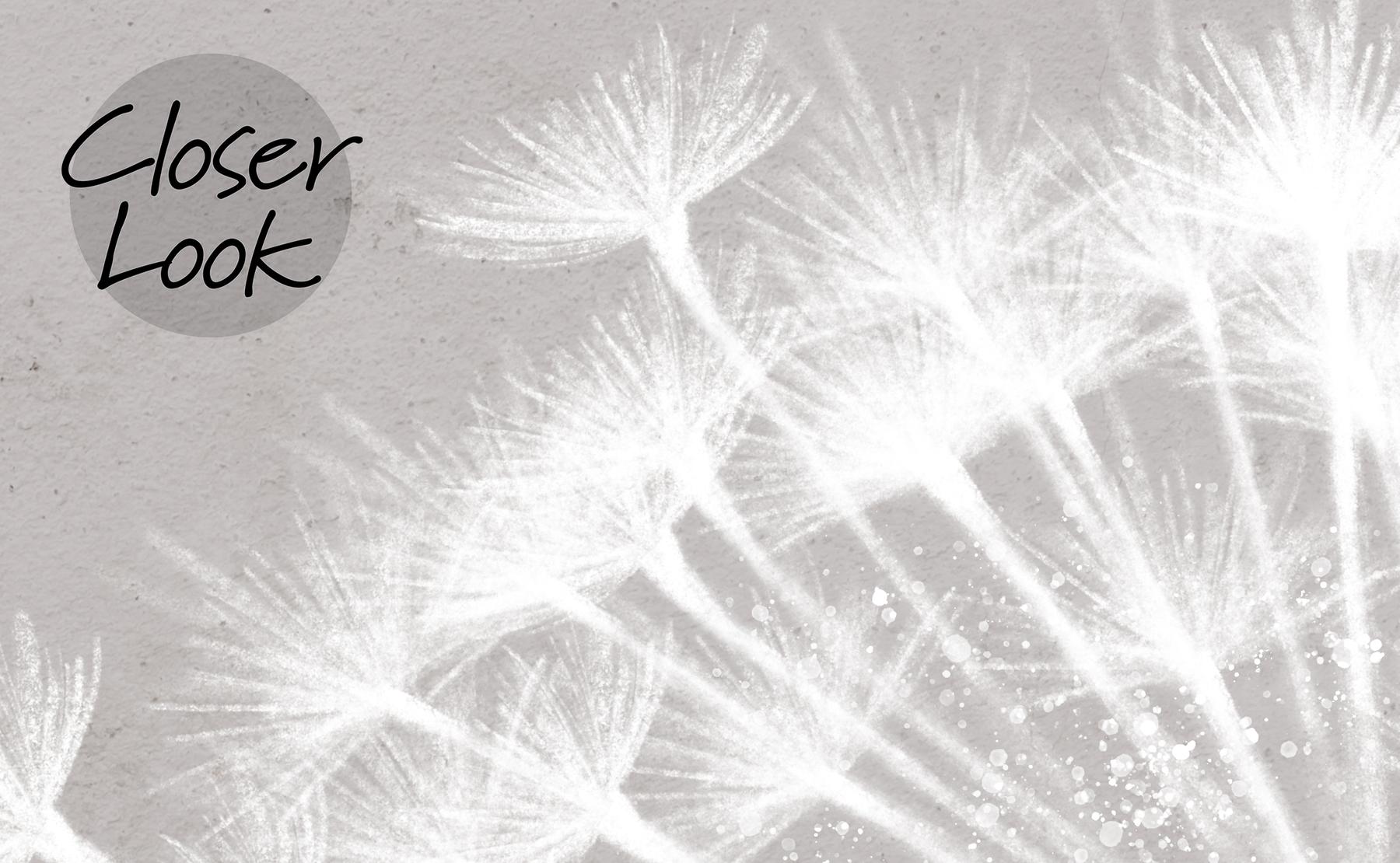 Serene Dandelion Wisps Kids Room Wallpaper