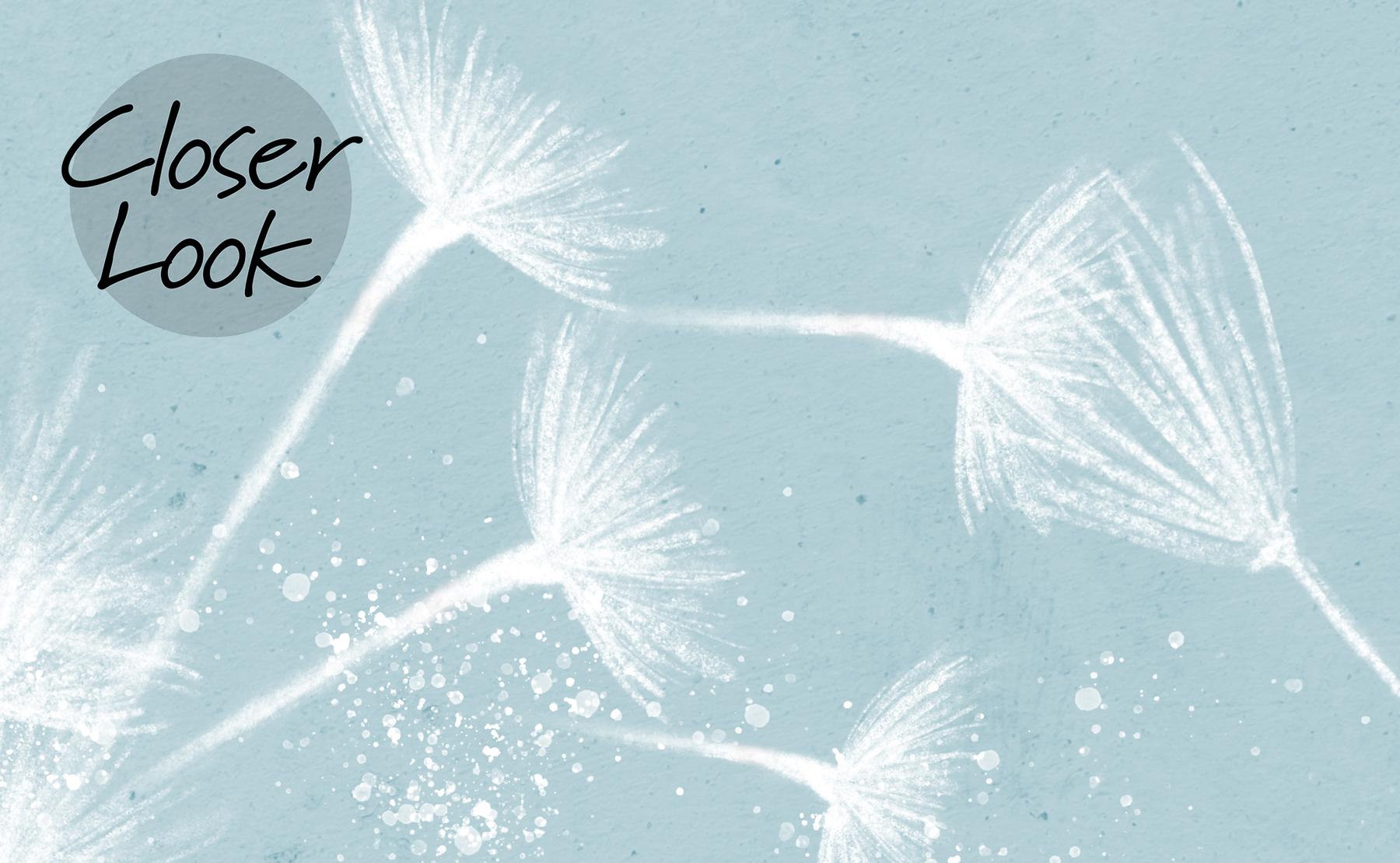 Serene Dandelion Wisps Kids Room Wallpaper