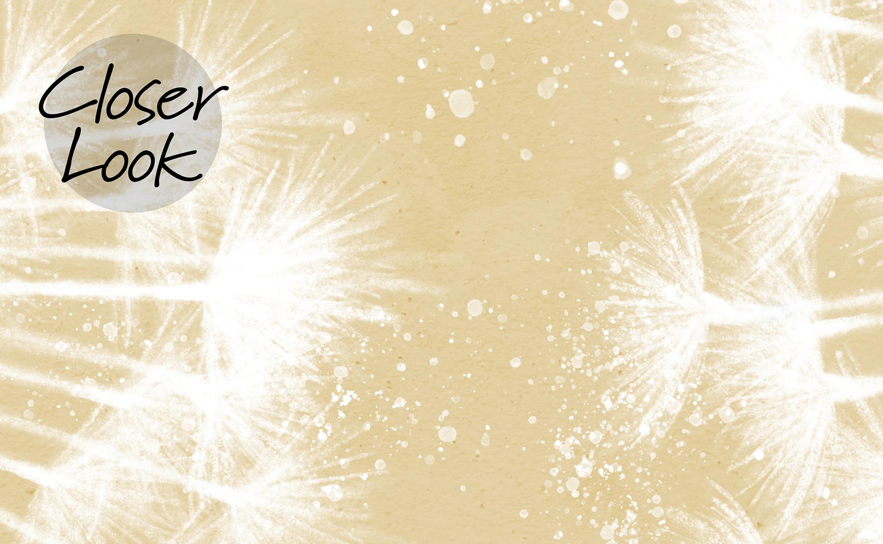 Serene Dandelion Wisps Kids Room Wallpaper