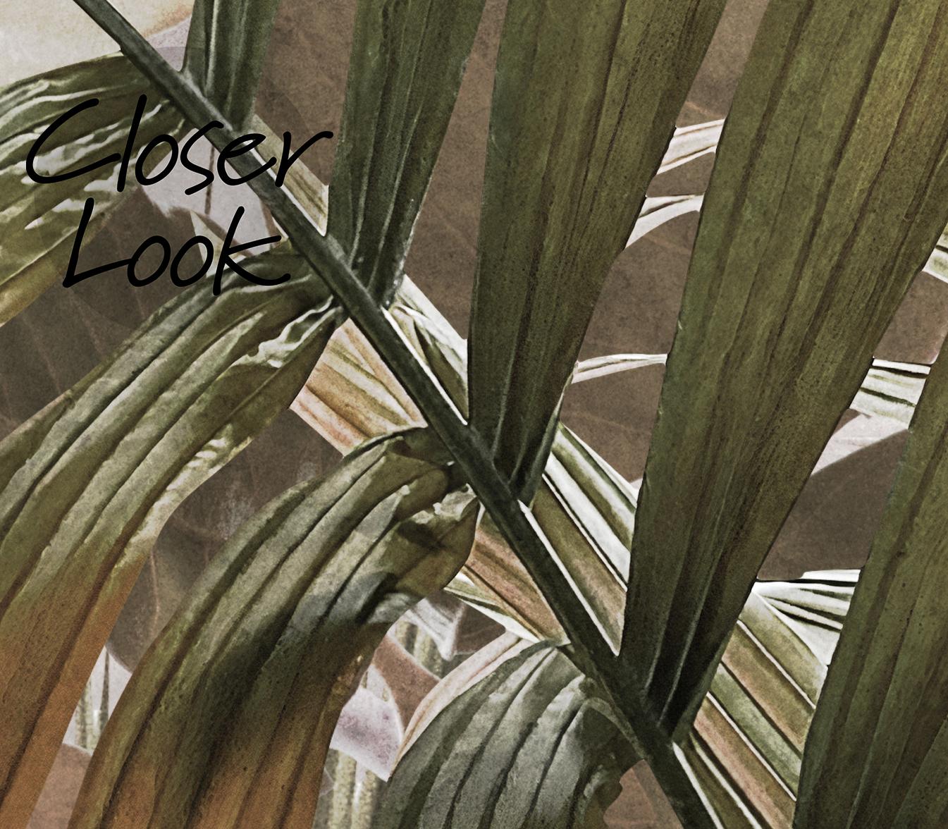 Tropical Rainforest Palm Wallpaper Mural