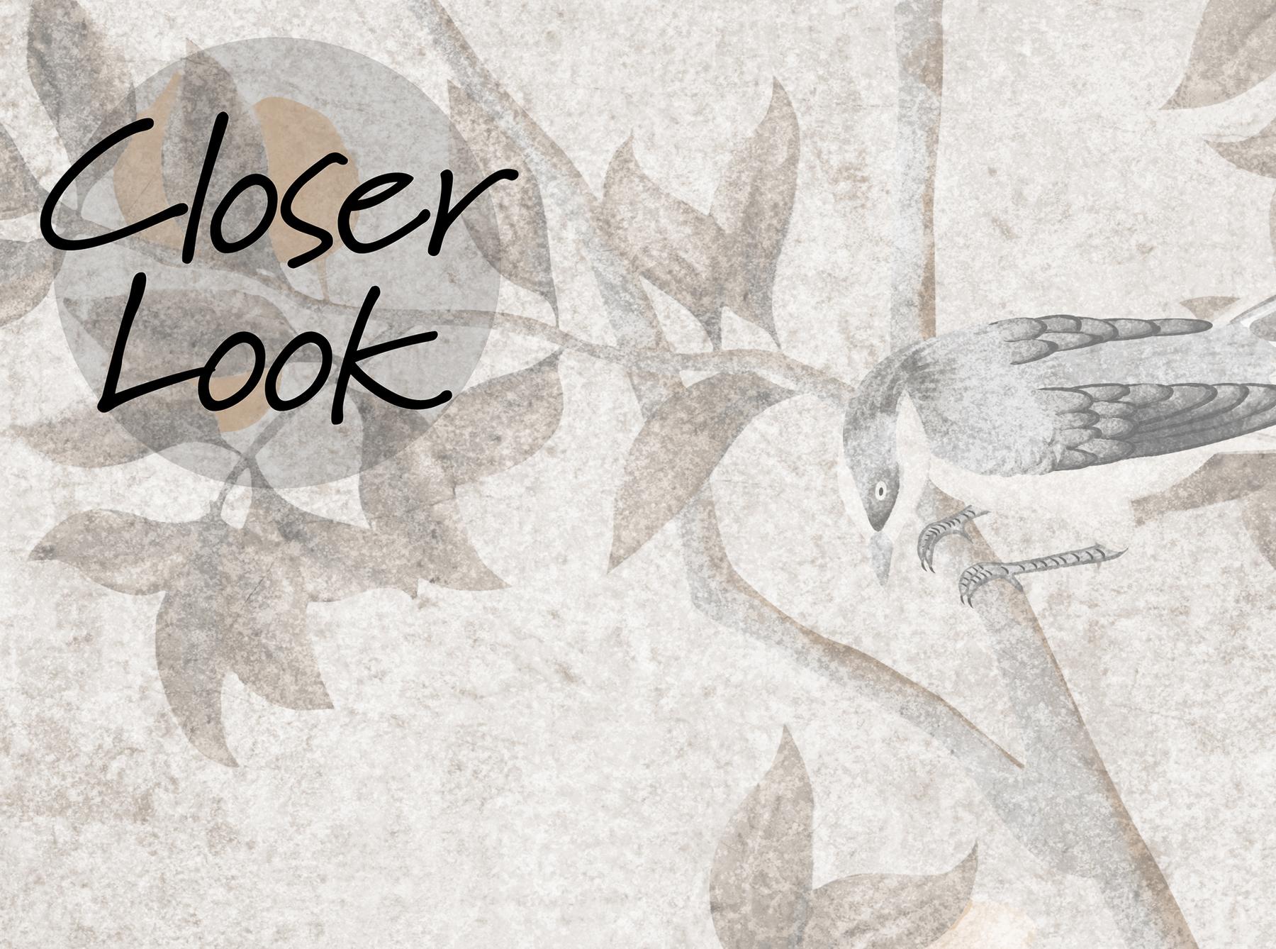 Majestic Peacock Paradise Wallpaper Mural