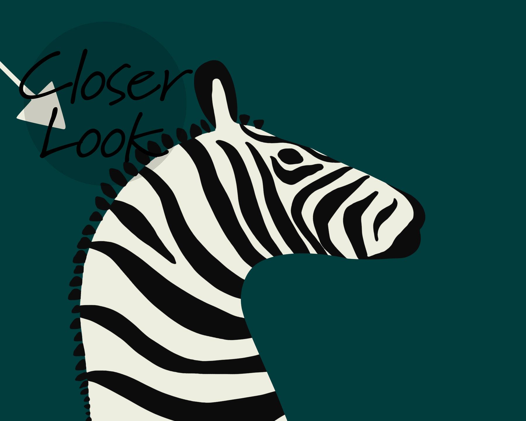 Wildlife Zebra with Arrows Wallpaper Mural