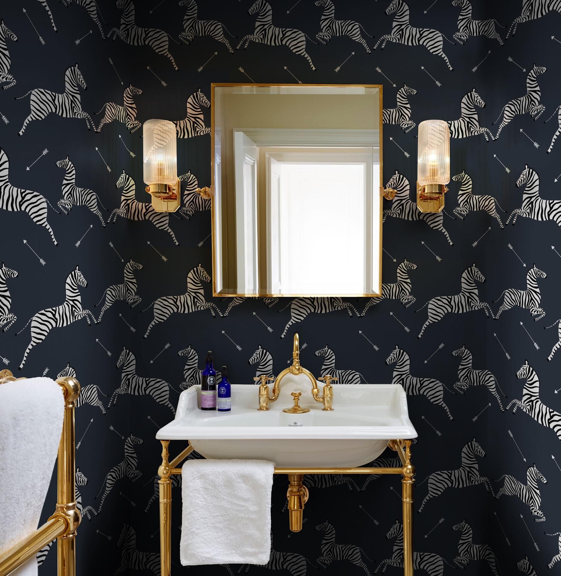 Wildlife Zebra with Arrows Wallpaper Mural