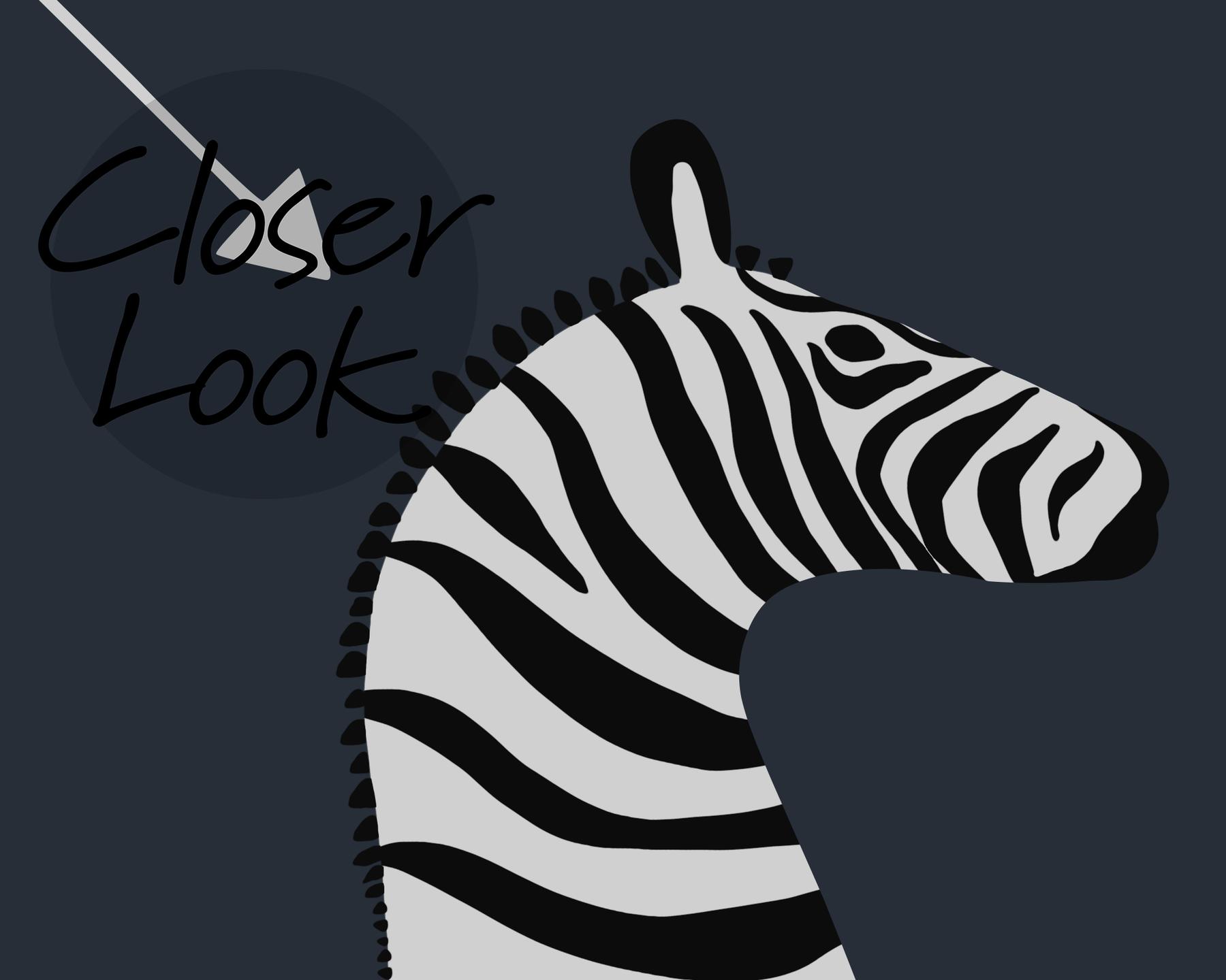 Wildlife Zebra with Arrows Wallpaper Mural