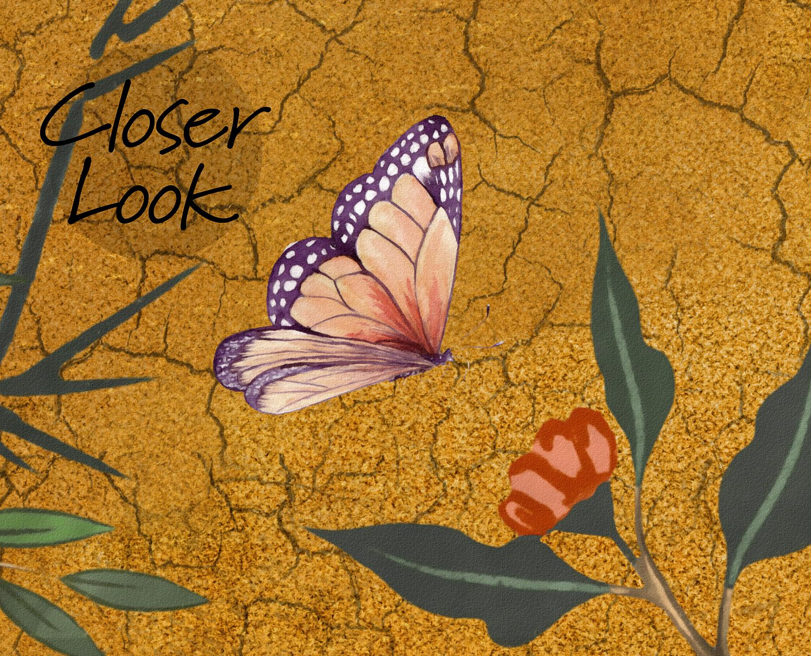 Chinoiserie Peacock and Blossom Wallpaper Mural