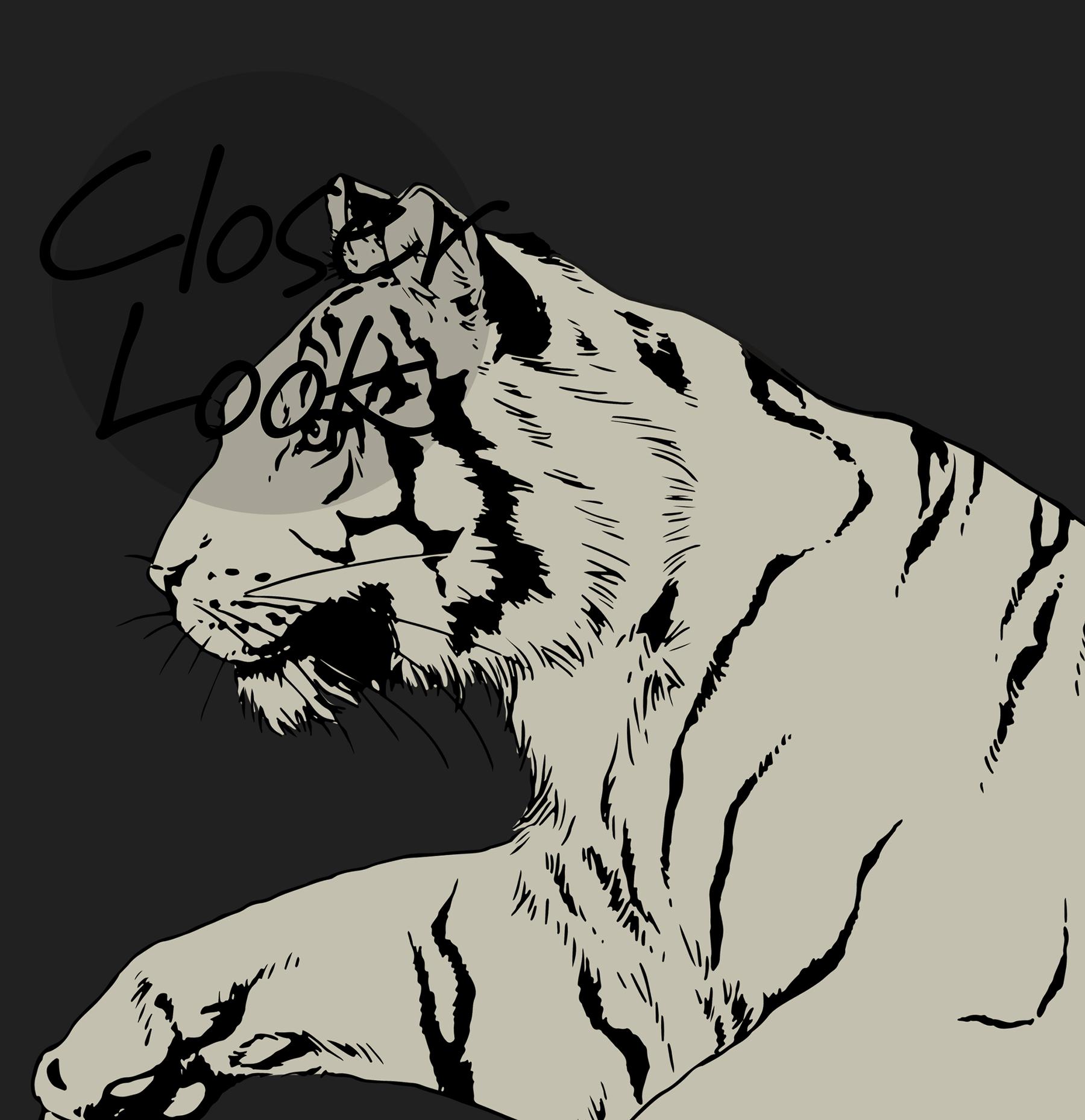 Wild Tiger Pattern Wallpaper Mural