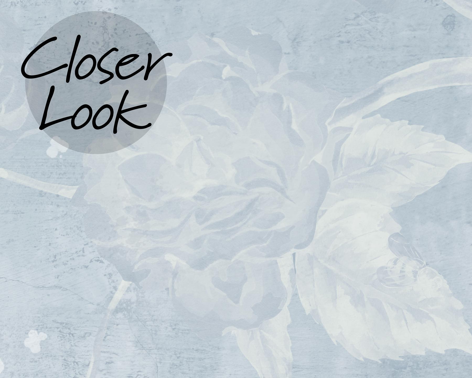 Soft Floral Elegance Peacock Wallpaper Mural