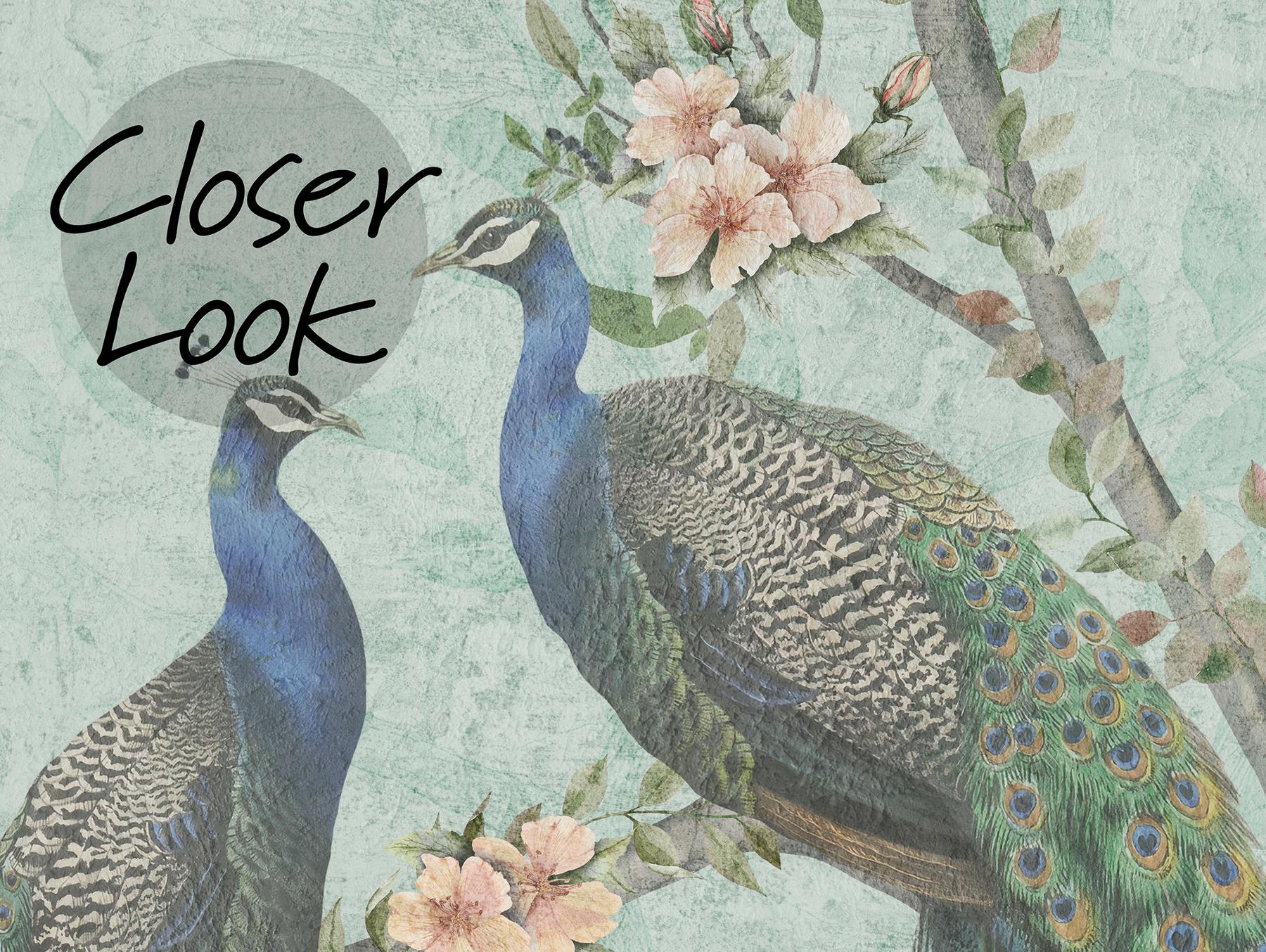 Floral Elegance Peacock Rose Garden Wallpaper Mural