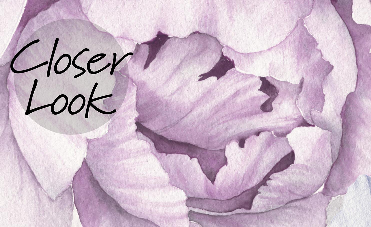 Elegant Peony Blossom Wallpaper Mural