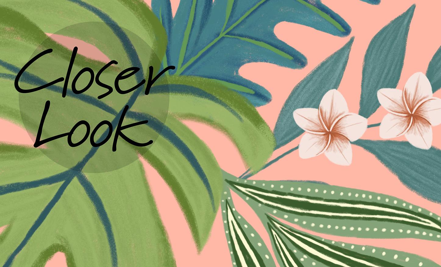 Tropical Paradise and Exotic Birds Wallpaper Mural