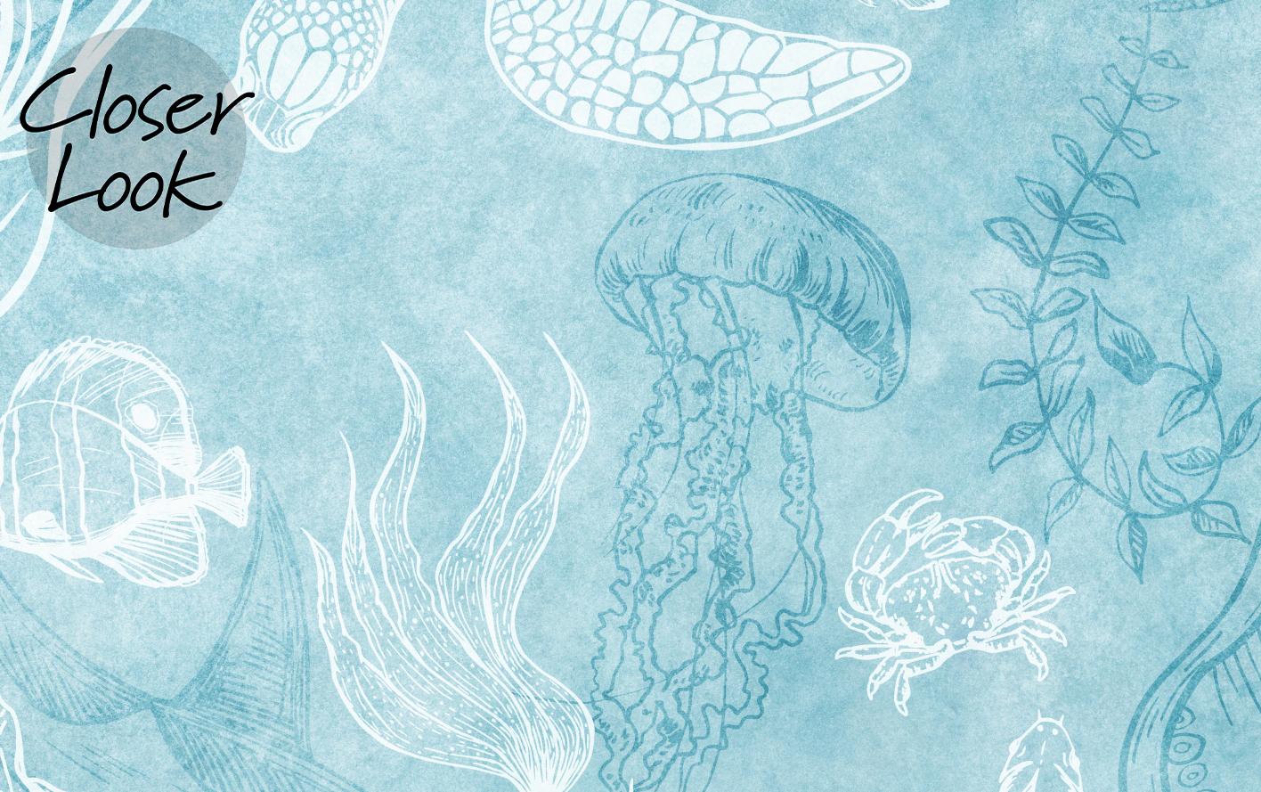 Aqua Marine Life Ocean Wallpaper Mural