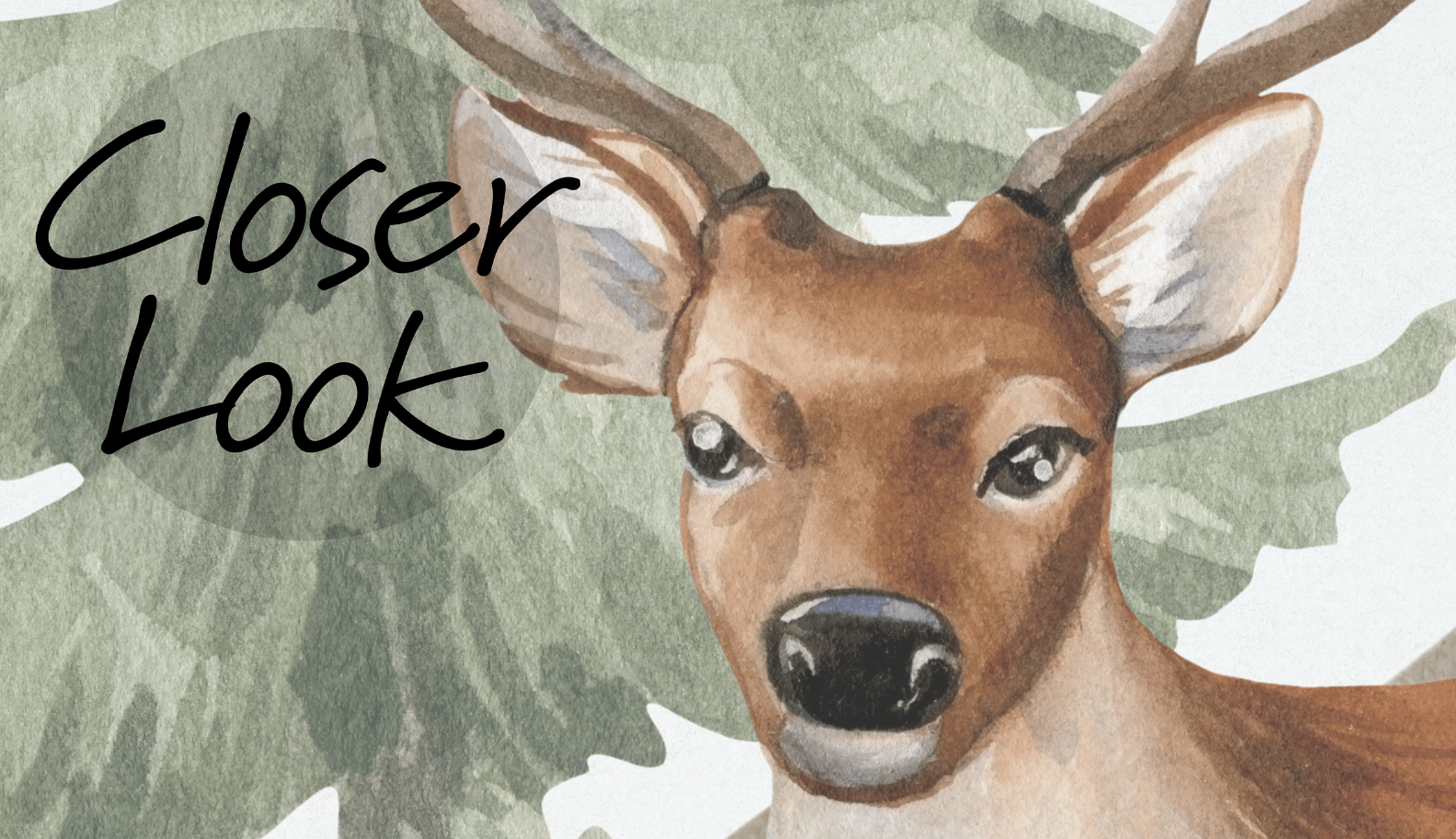 Whimsical Forest Wildlife with Rainbow Kids Wallpaper Mural