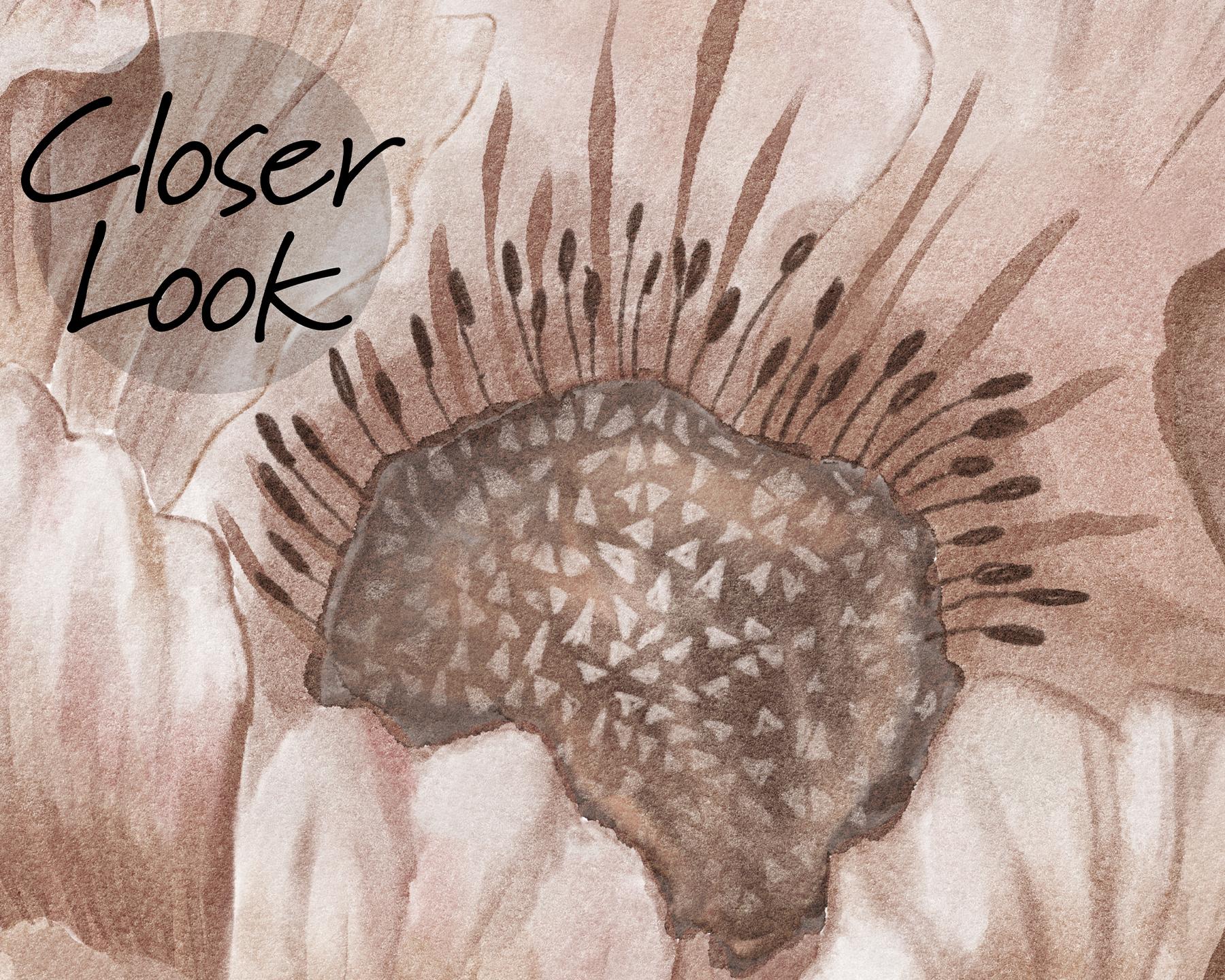 Elegance Blush Peony Wallpaper Mural