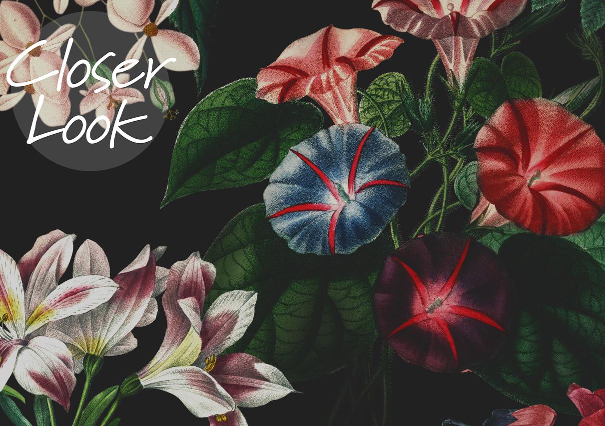 Enchanting Nocturnal Floral Garden Wallpaper Mural