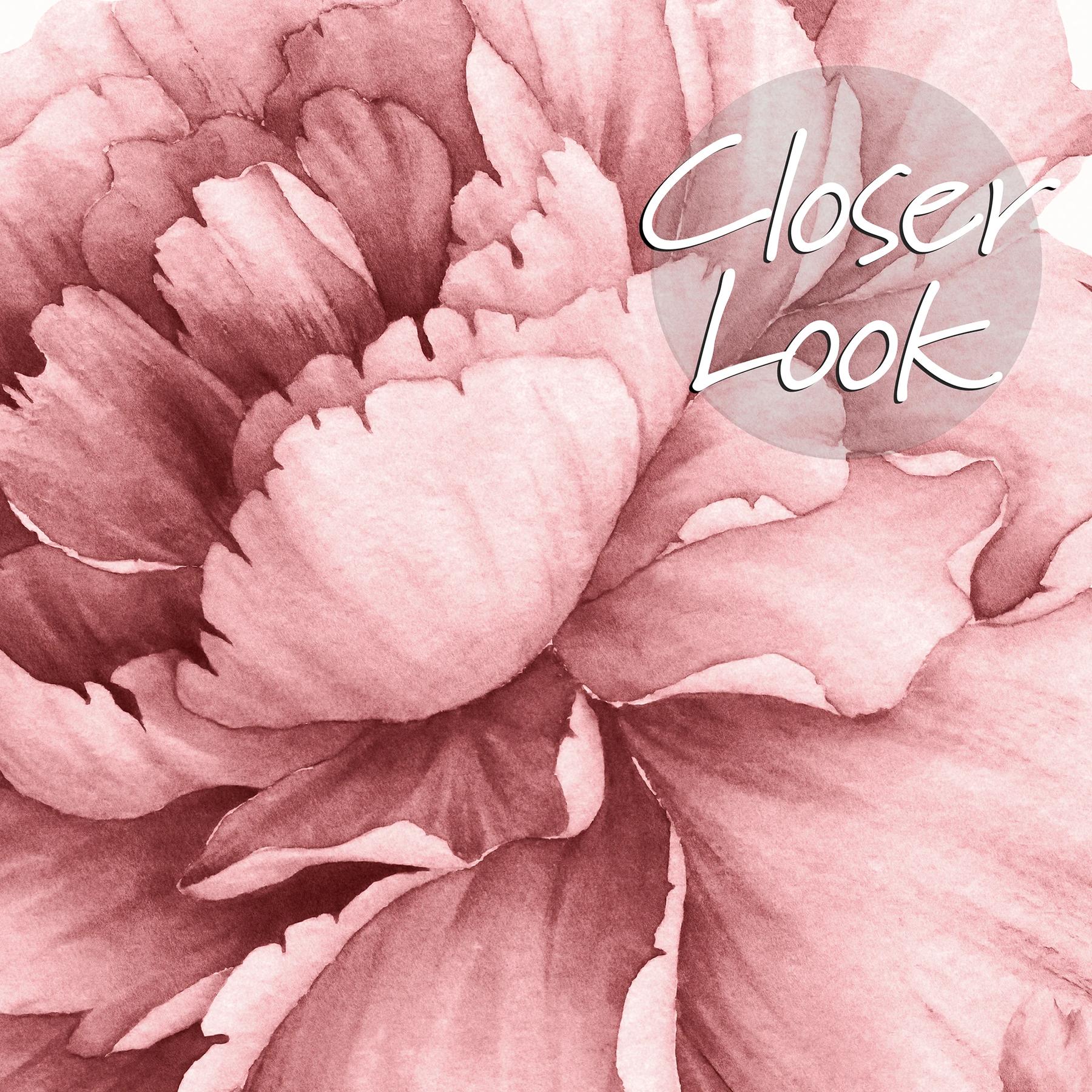 Soft Rose Floral Delicacy Wallpaper Mural