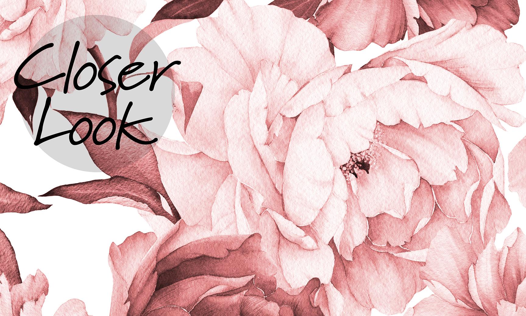 Soft Rose Floral Delicacy Wallpaper Mural