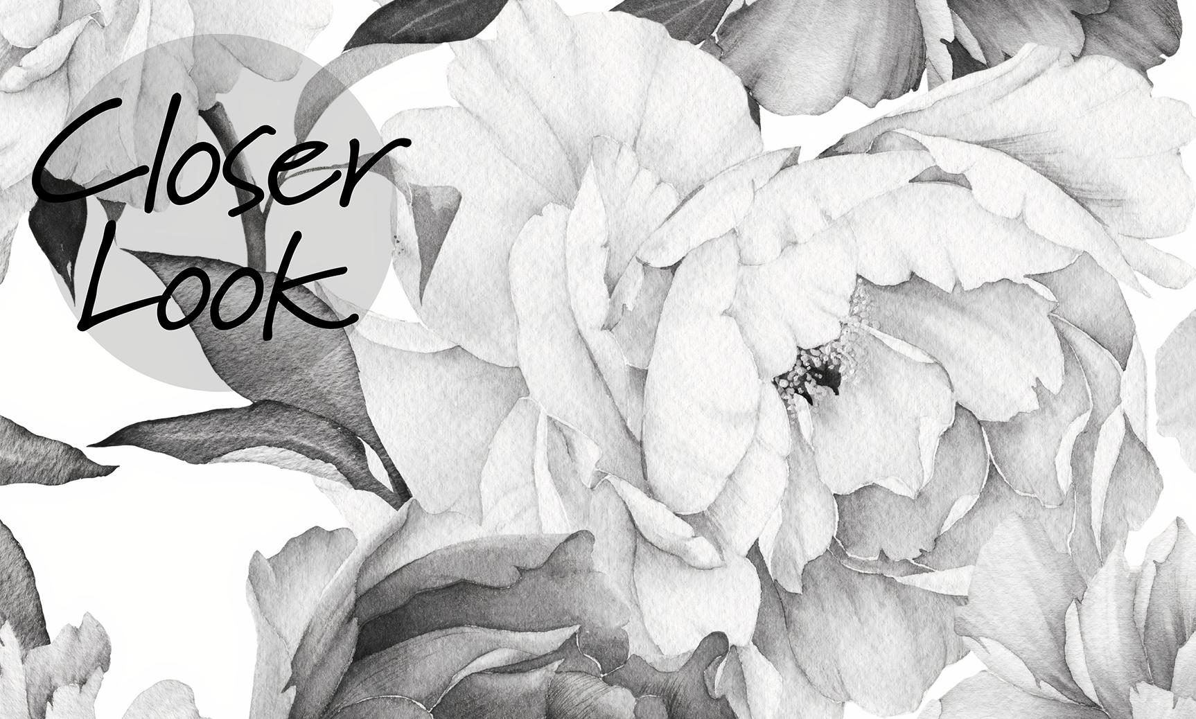 Soft Rose Floral Delicacy Wallpaper Mural