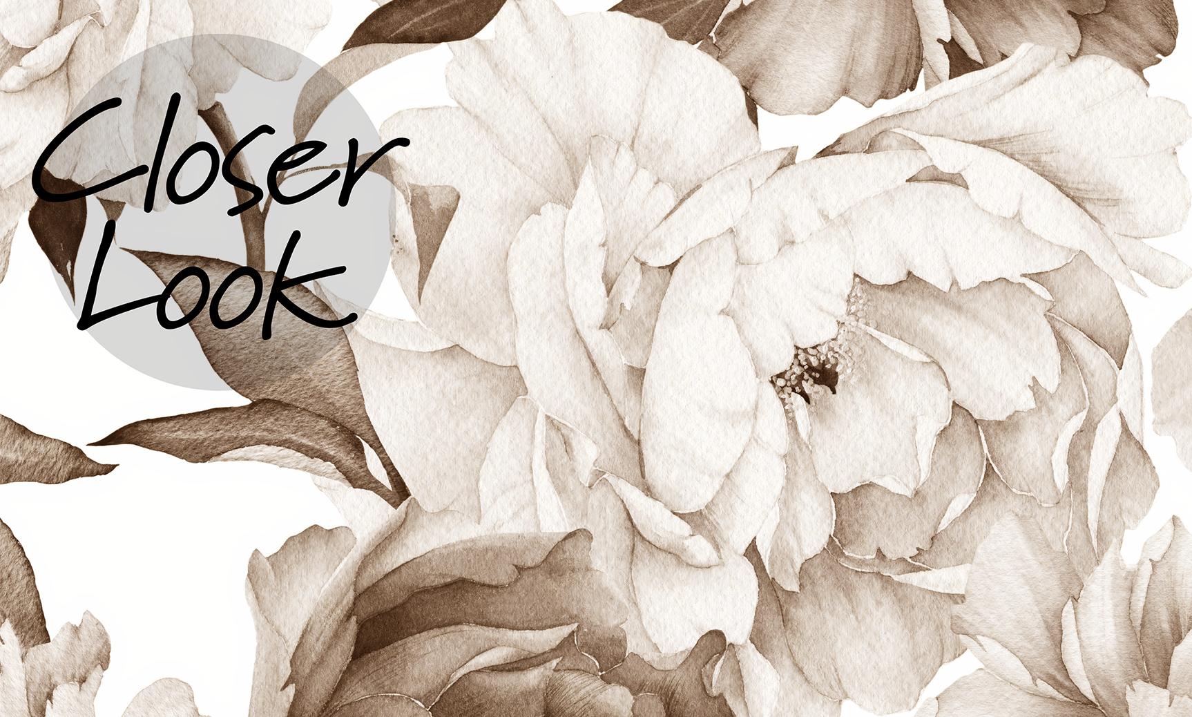 Soft Rose Floral Delicacy Wallpaper Mural