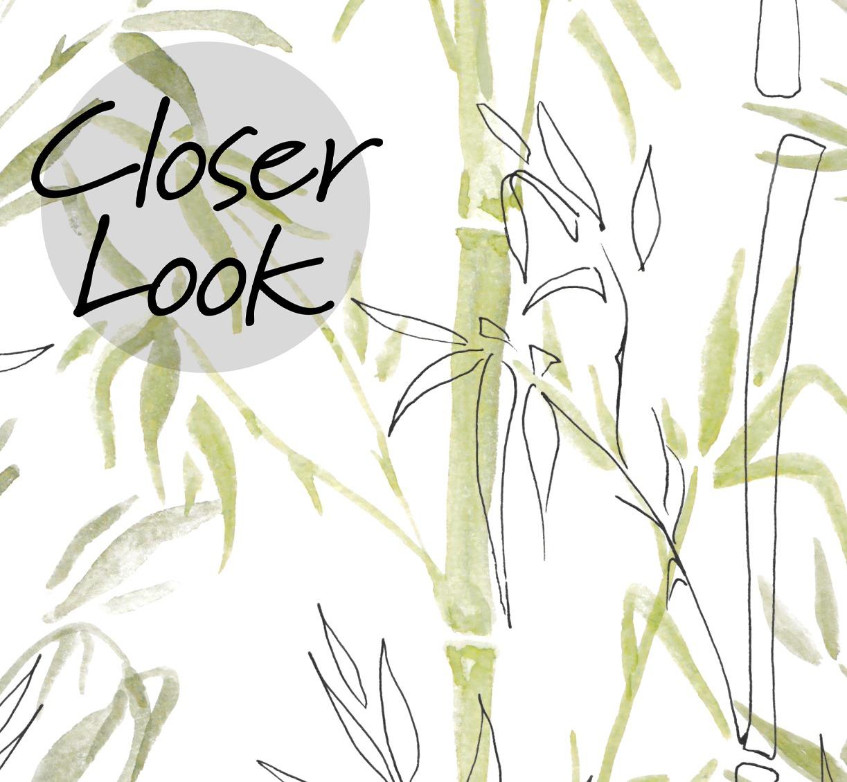 Zen Bamboo Serenity Nature Wallpaper Mural