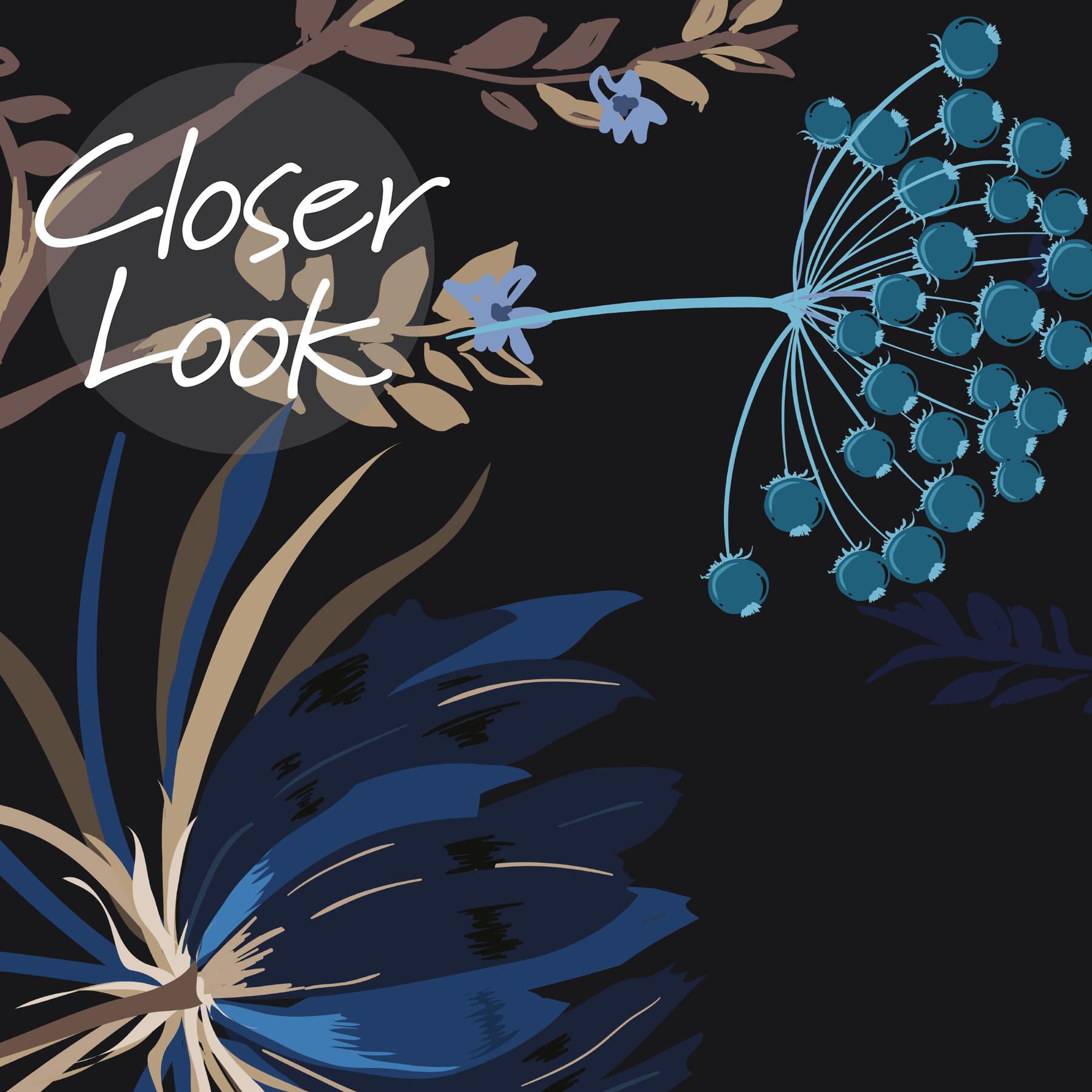 Midnight Botanical Elegance Wallpaper Mural
