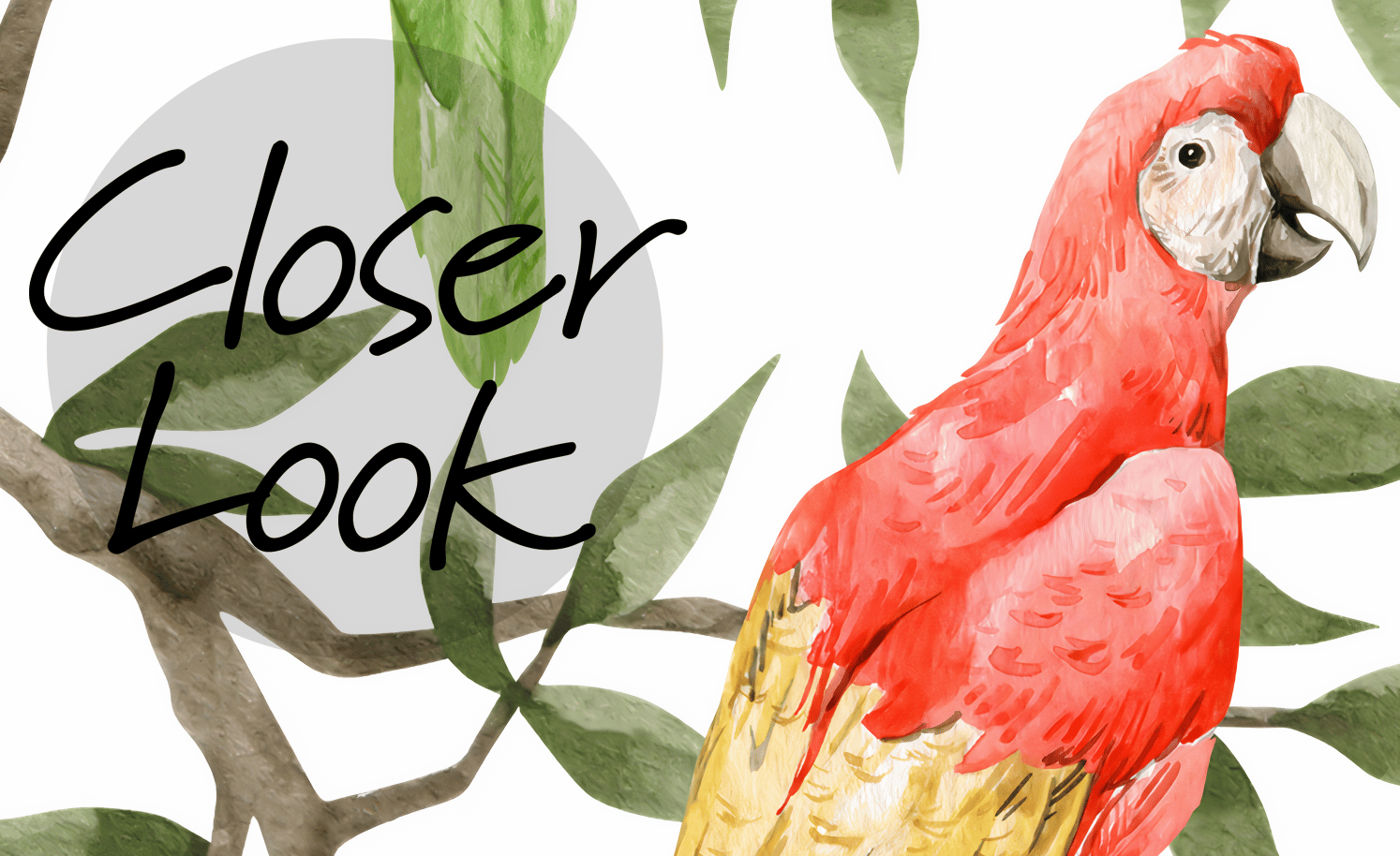 Colorful Parrots Paradise Botanical Wallpaper Mural