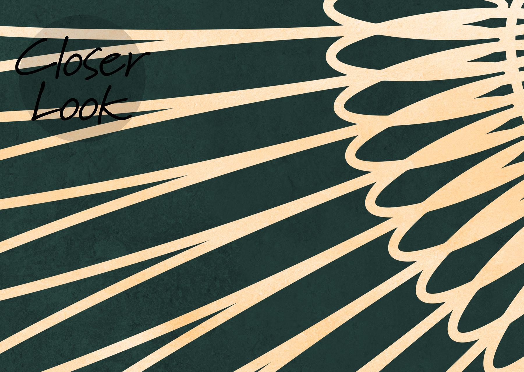 Japanese Crane Harmony Pattern Wallpaper Mural