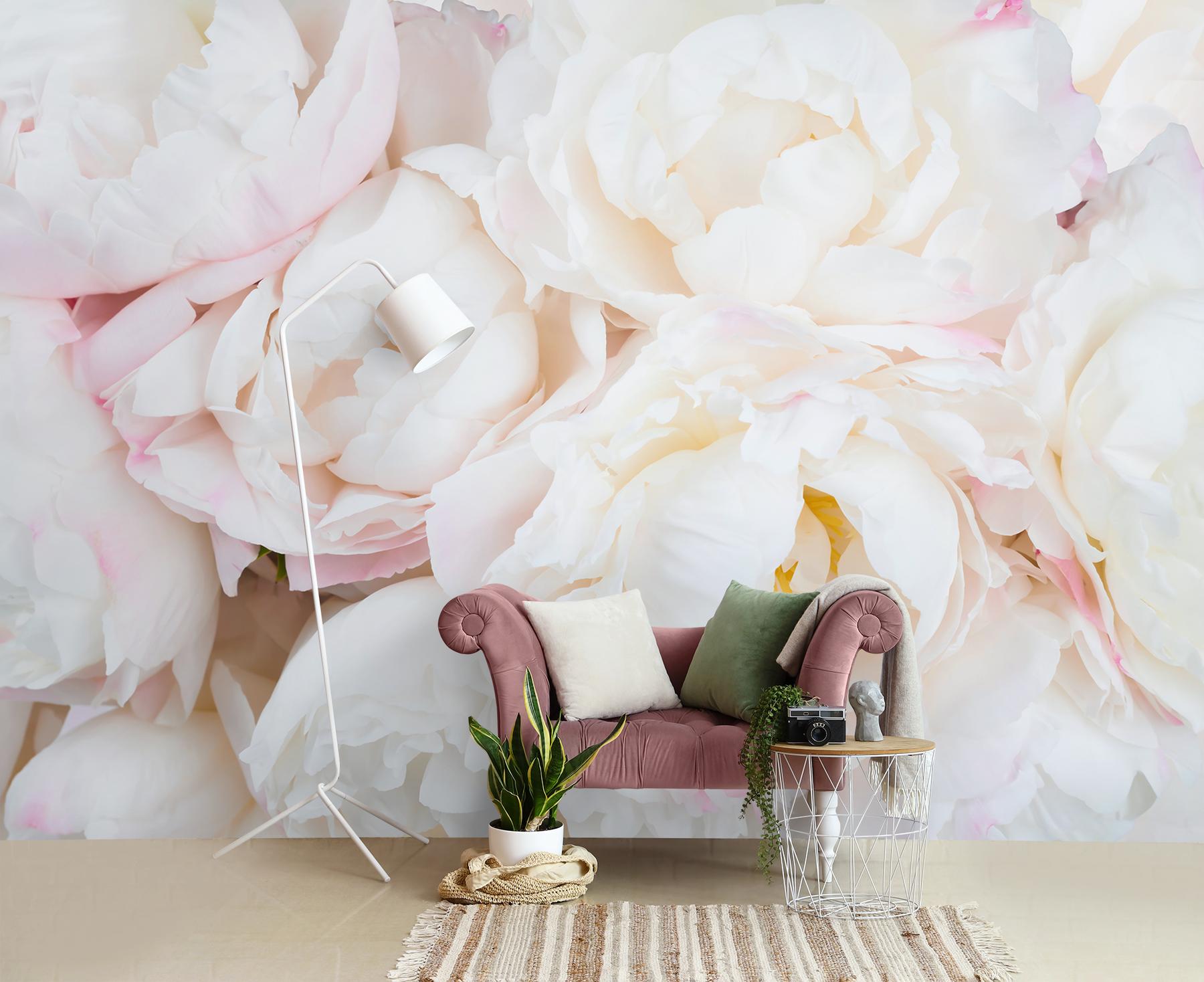 Soft Blushing Peony Wallpaper Mural