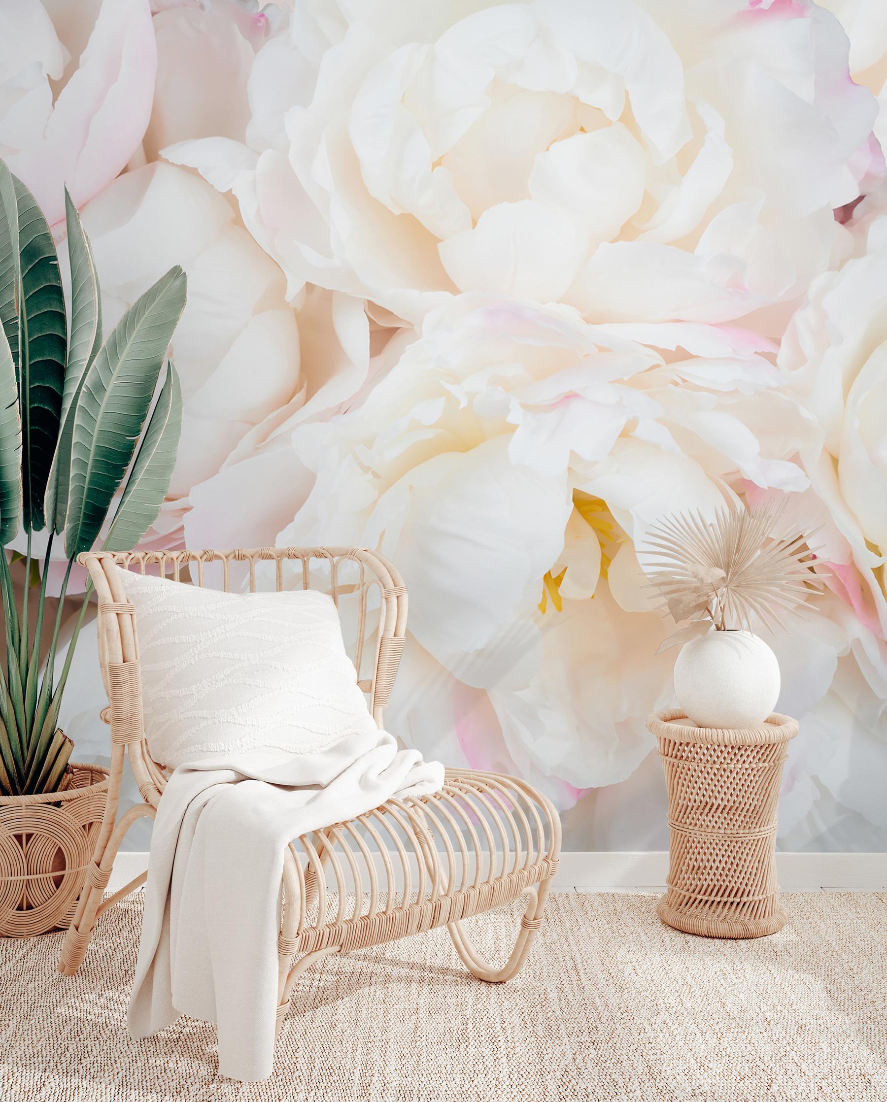 Soft Blushing Peony Wallpaper Mural
