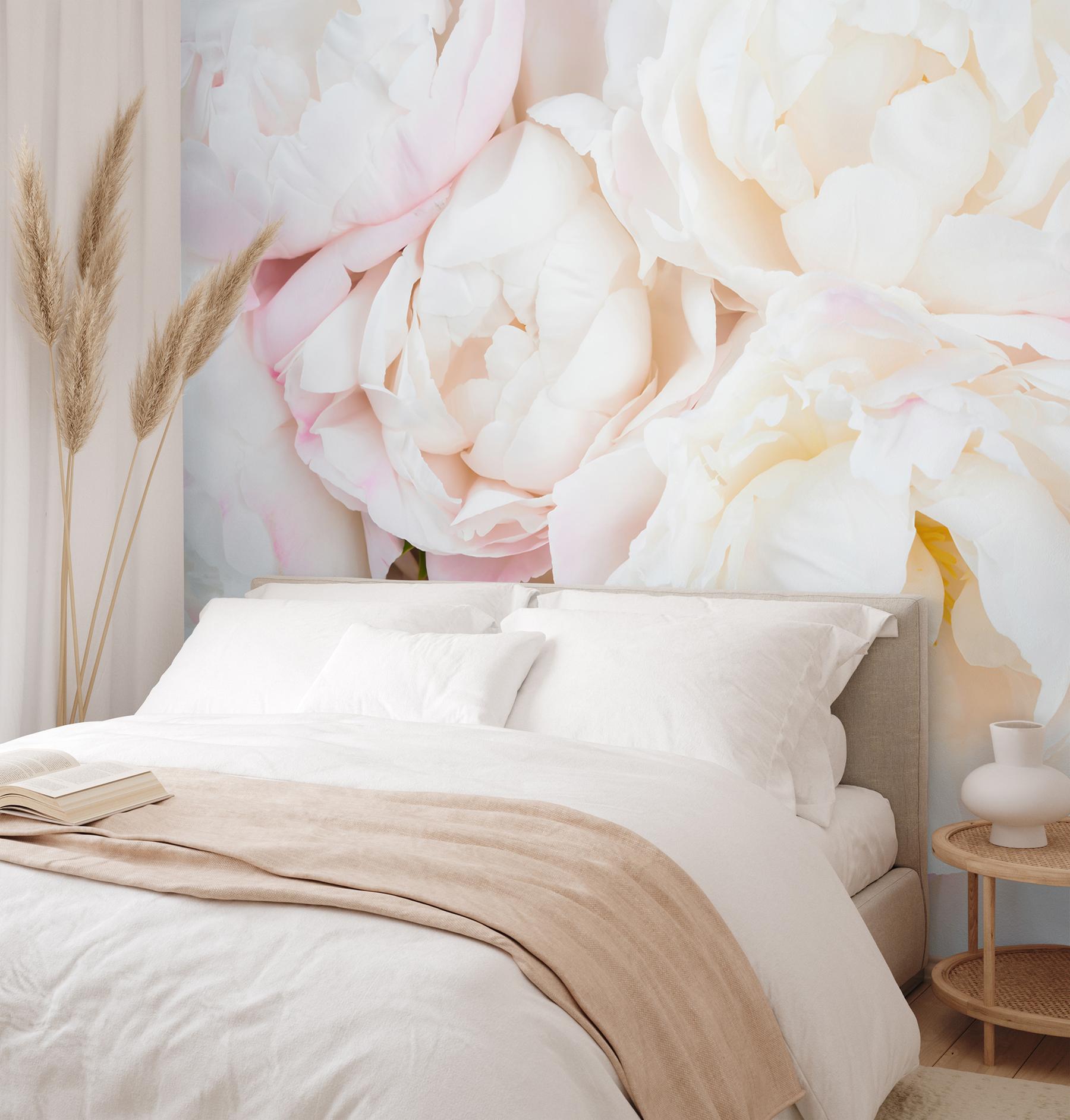 Soft Blushing Peony Wallpaper Mural