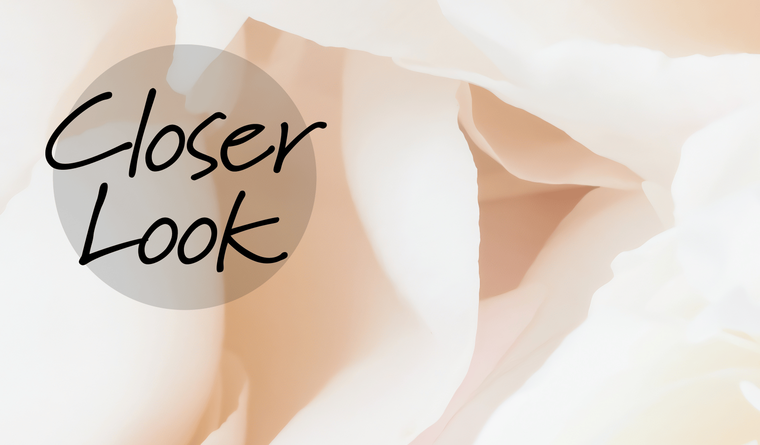 Soft Blushing Peony Wallpaper Mural