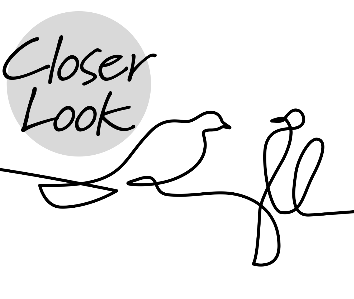 Minimalist Line Art Birds Pattern Wallpaper Mural