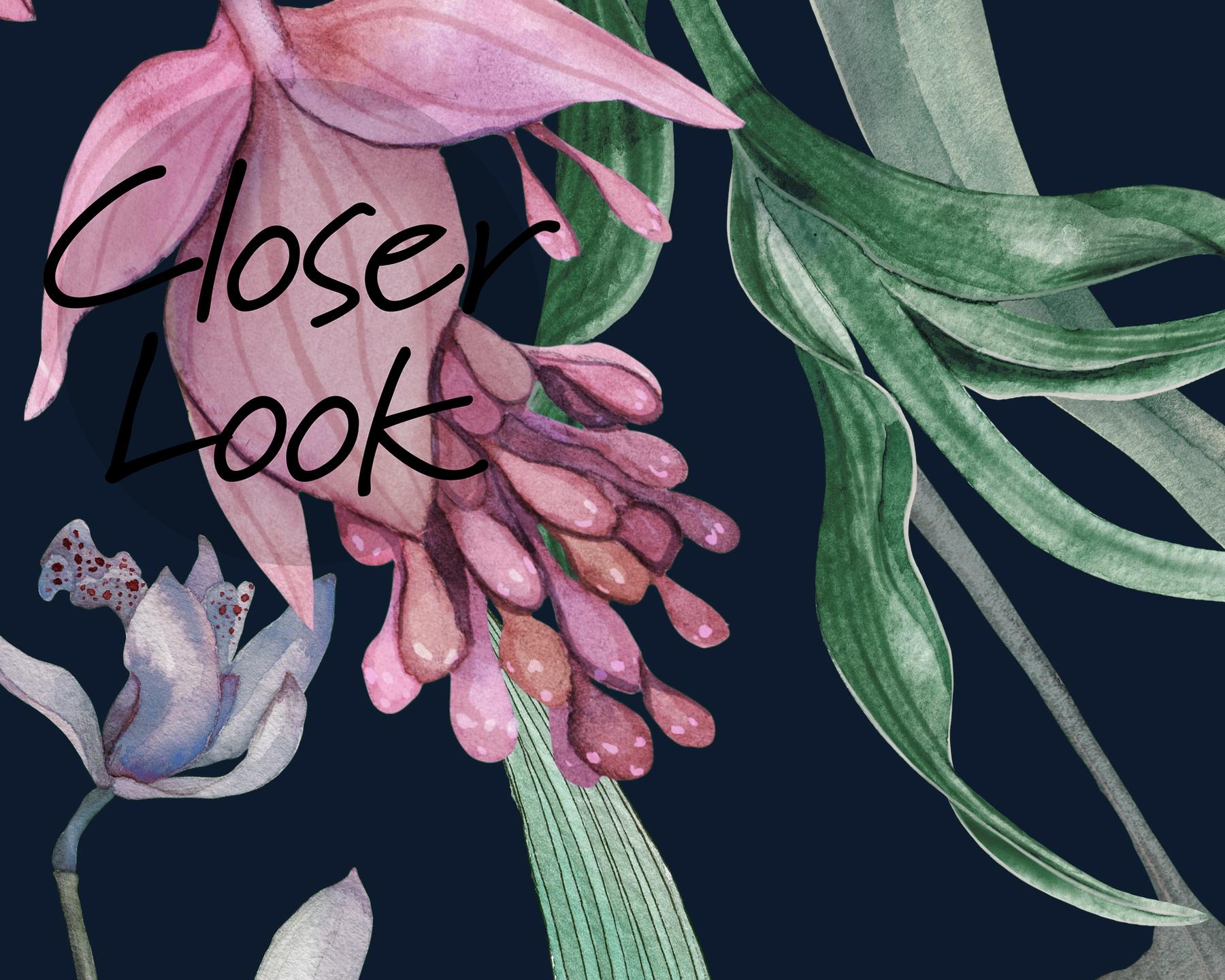 Exquisite Midnight Garden Bloom Wallpaper Mural