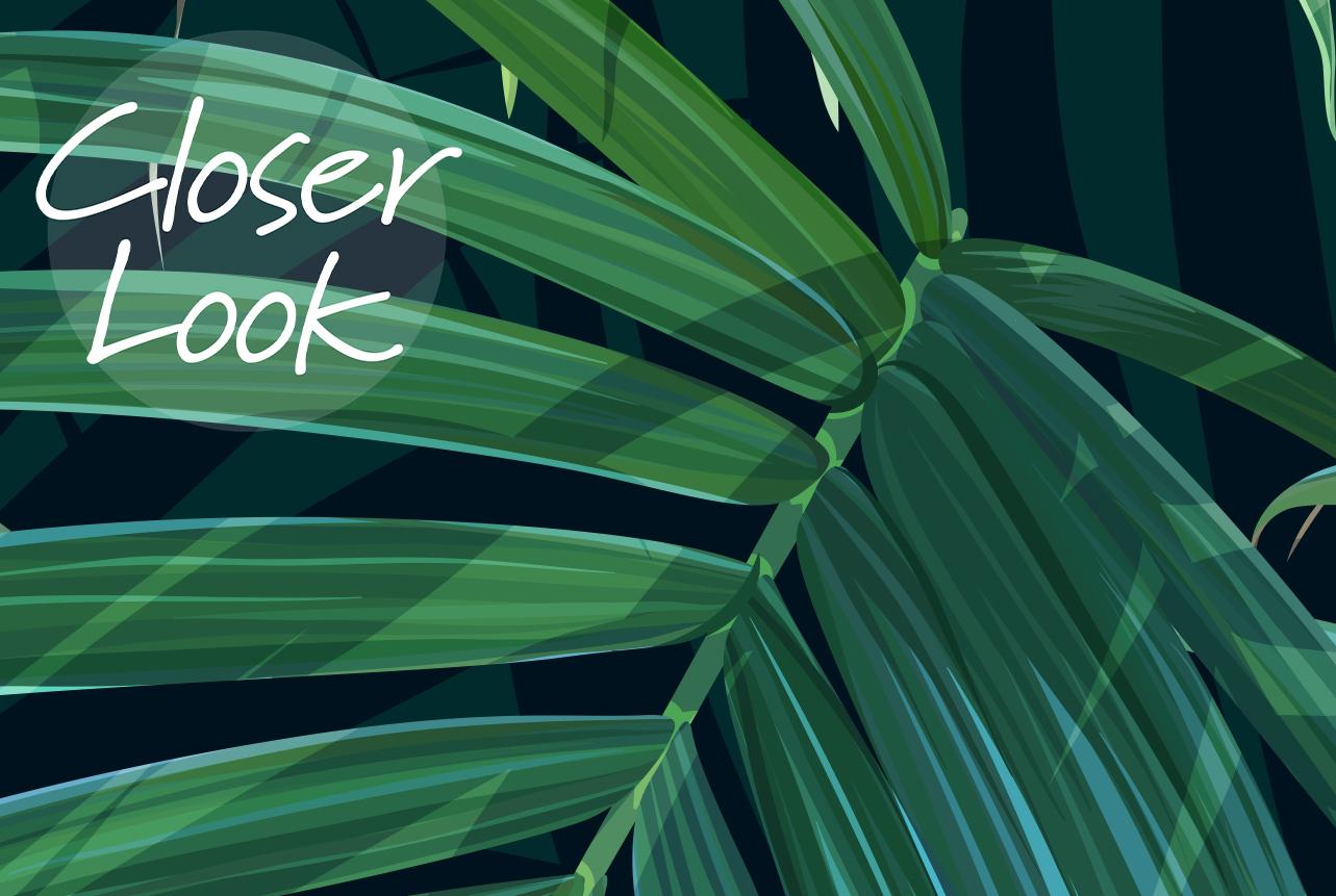 Lush Tropical Palm Fronds Wallpaper Mural