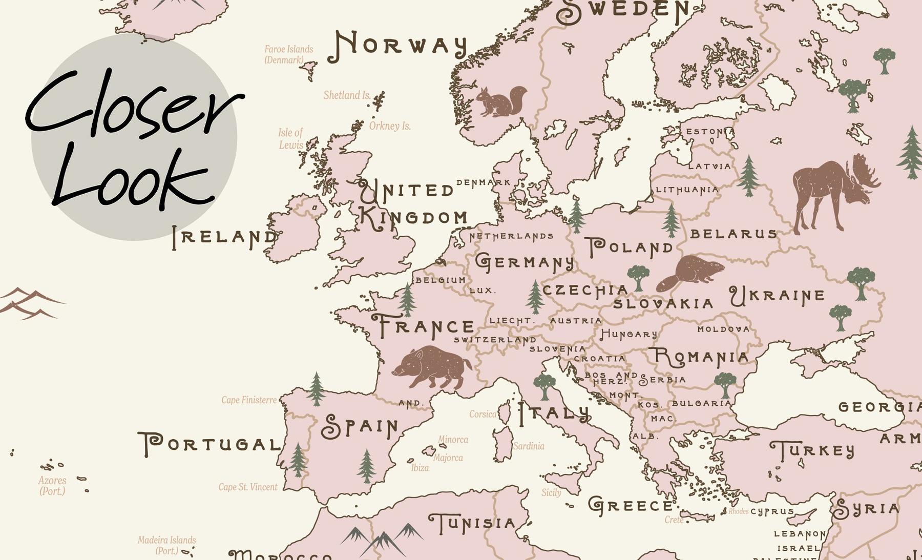 Safari Adventure World Map Kids Wallpaper Mural