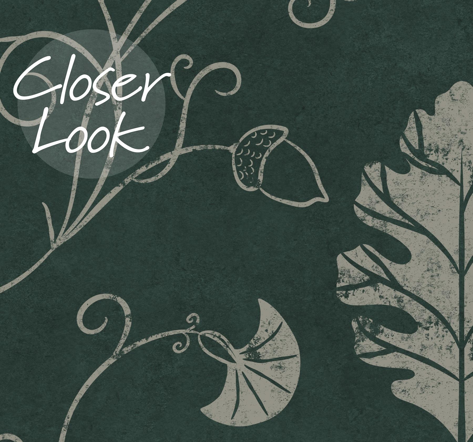 Elegant Floral Vine Pattern Wallpaper Mural