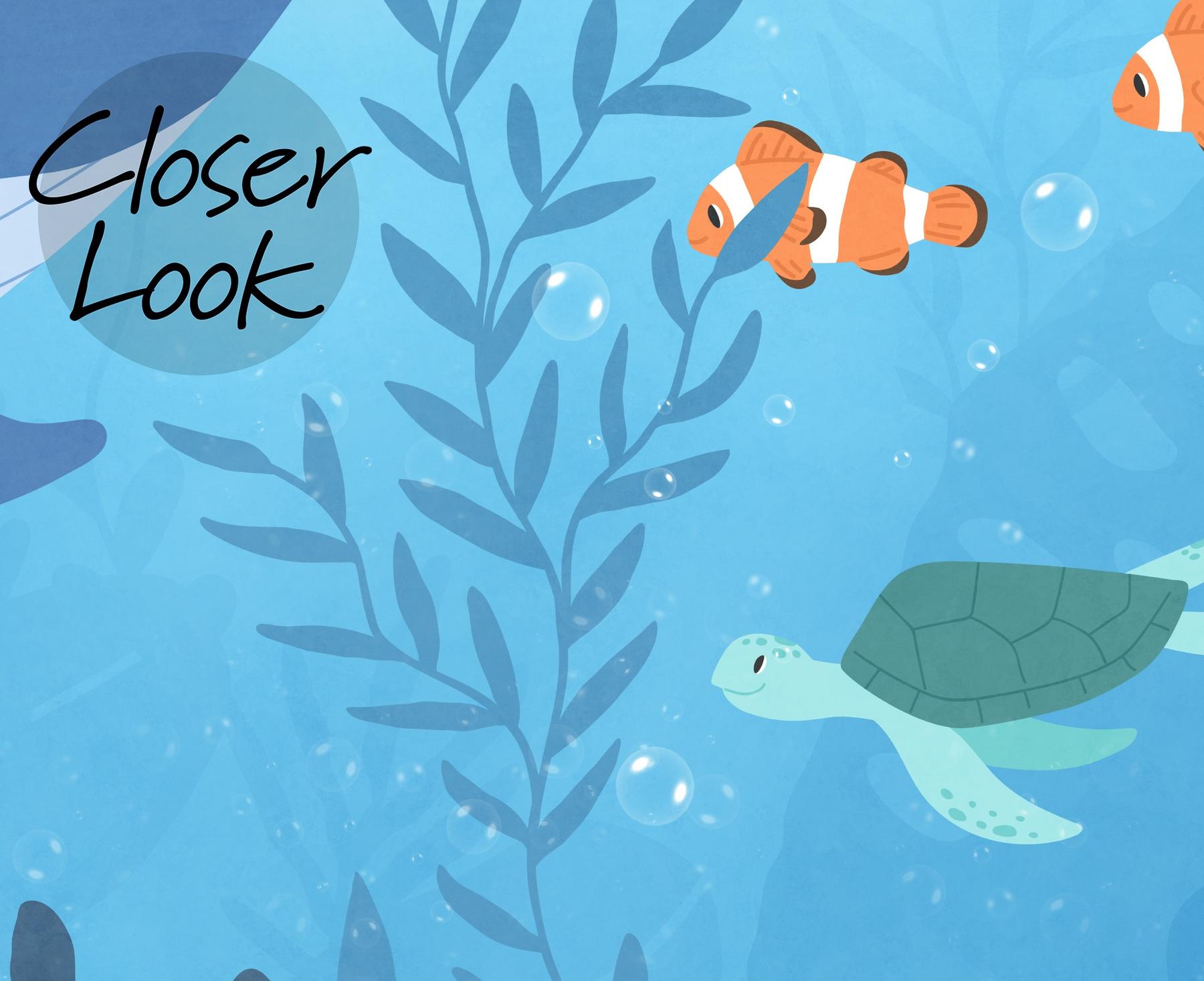 Kids Underwater Animals and Coral Reef Wallpaper Mural