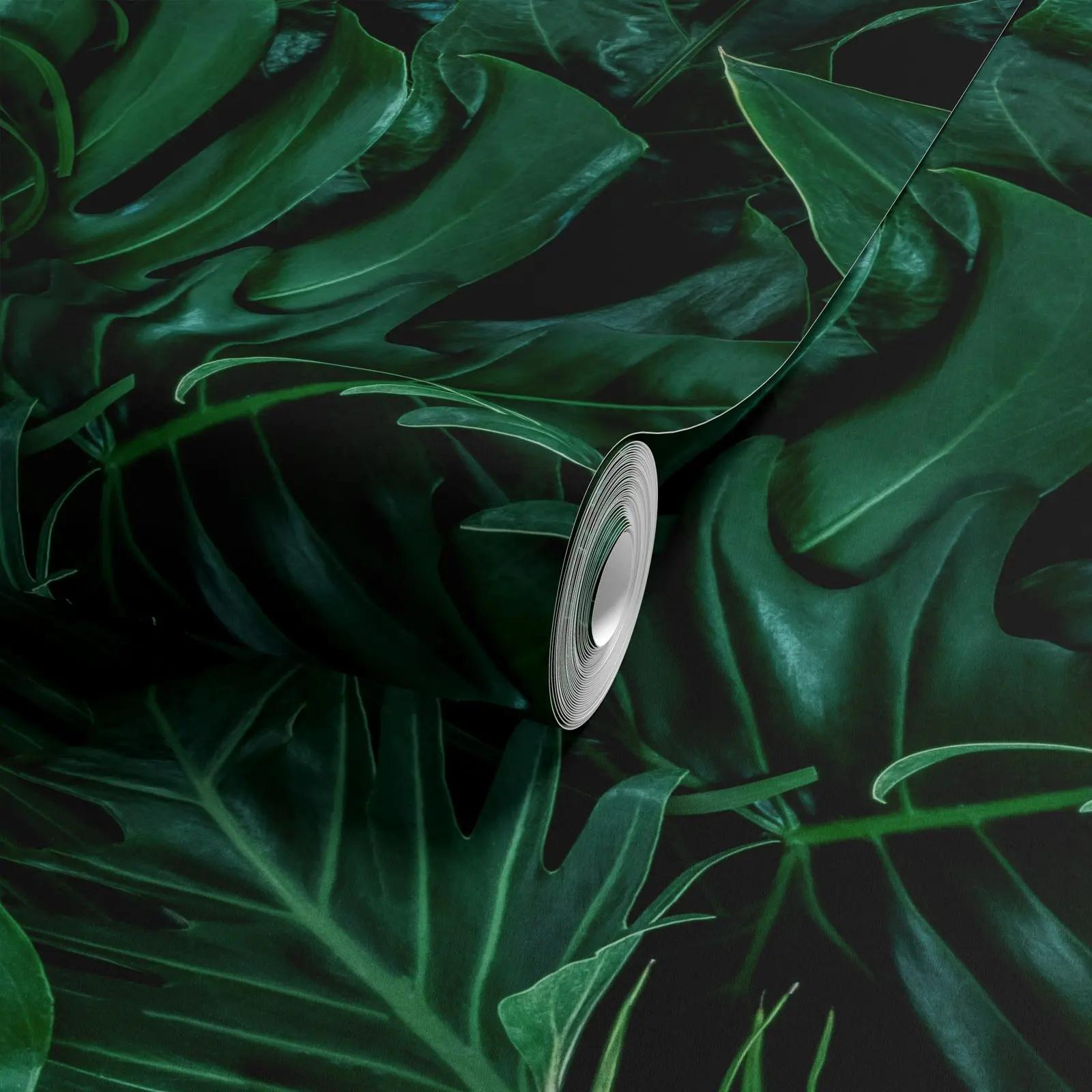 Tropical Wallpaper Mural with Dark Green Foliage