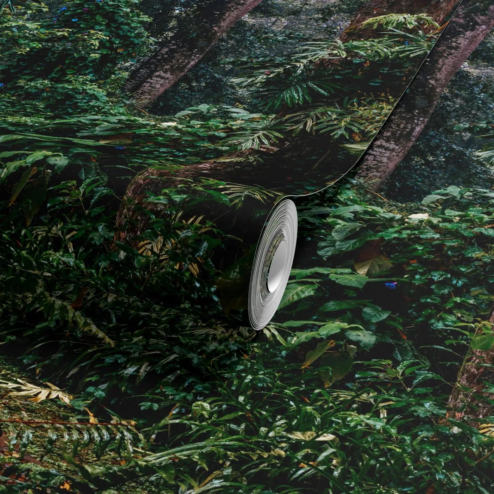 Dark Tropical Jungle Wallpaper Mural