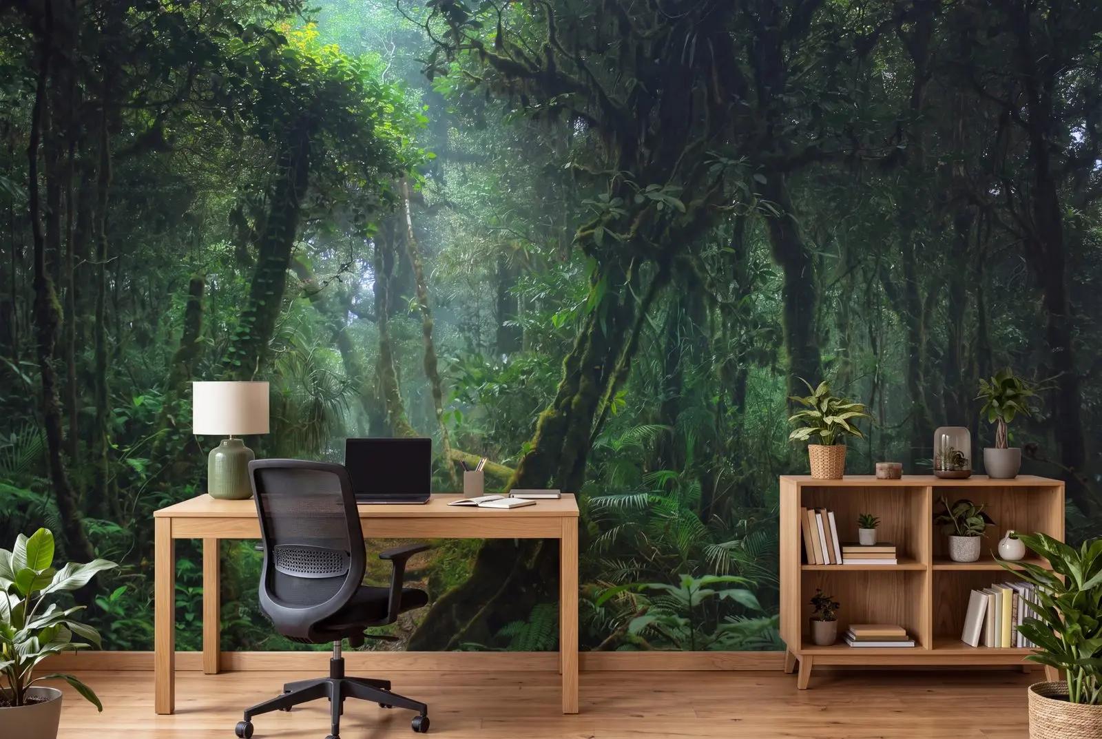 Misty Rainforest Wallpaper Mural