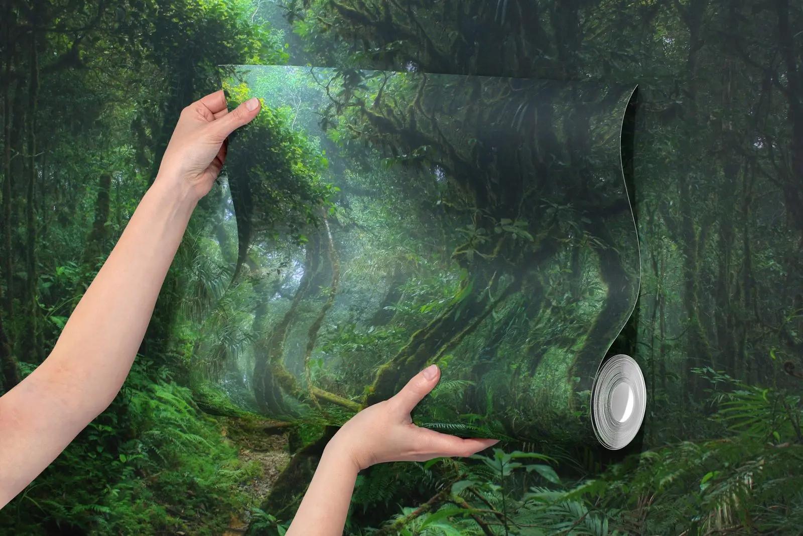 Misty Rainforest Wallpaper Mural