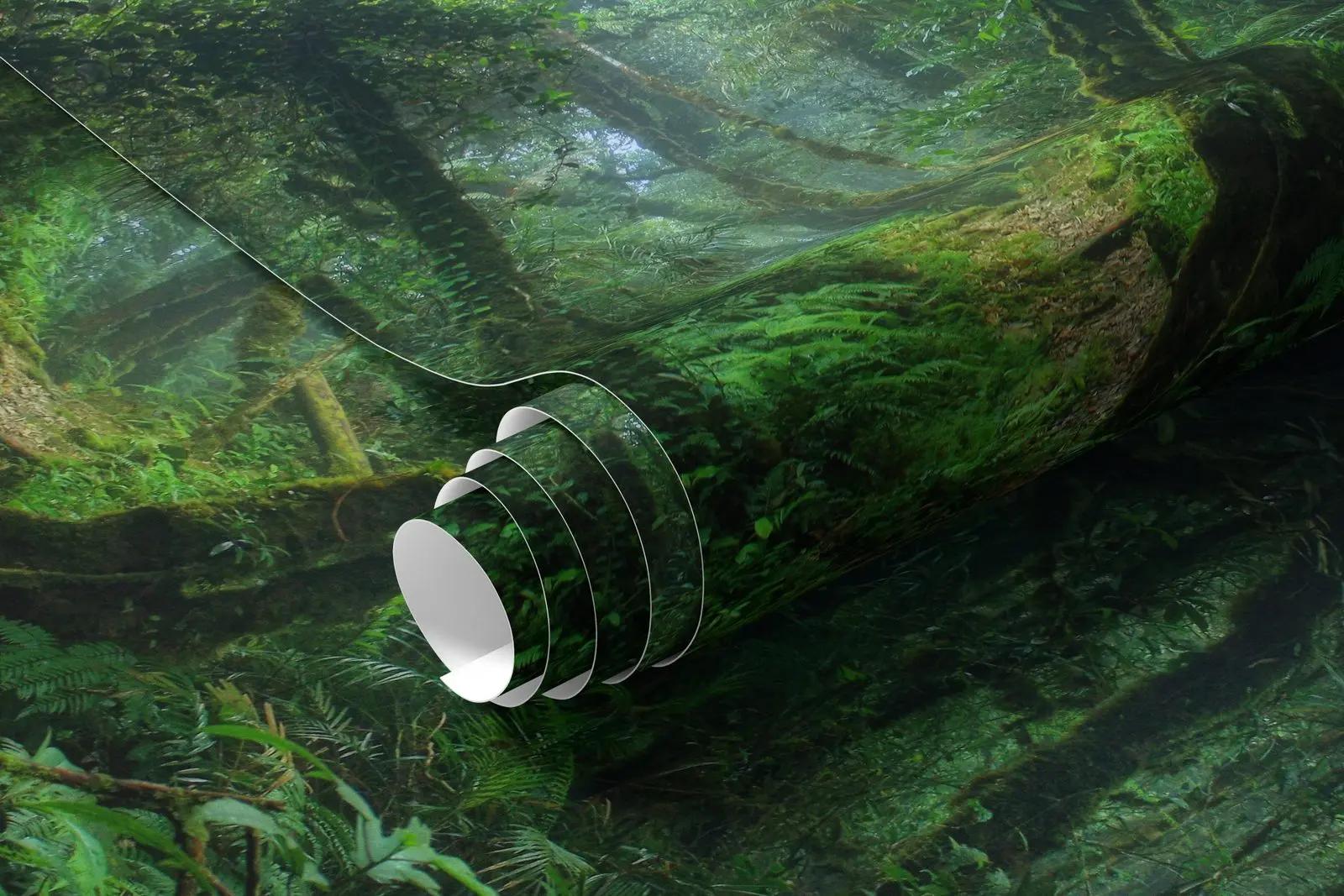 Misty Rainforest Wallpaper Mural