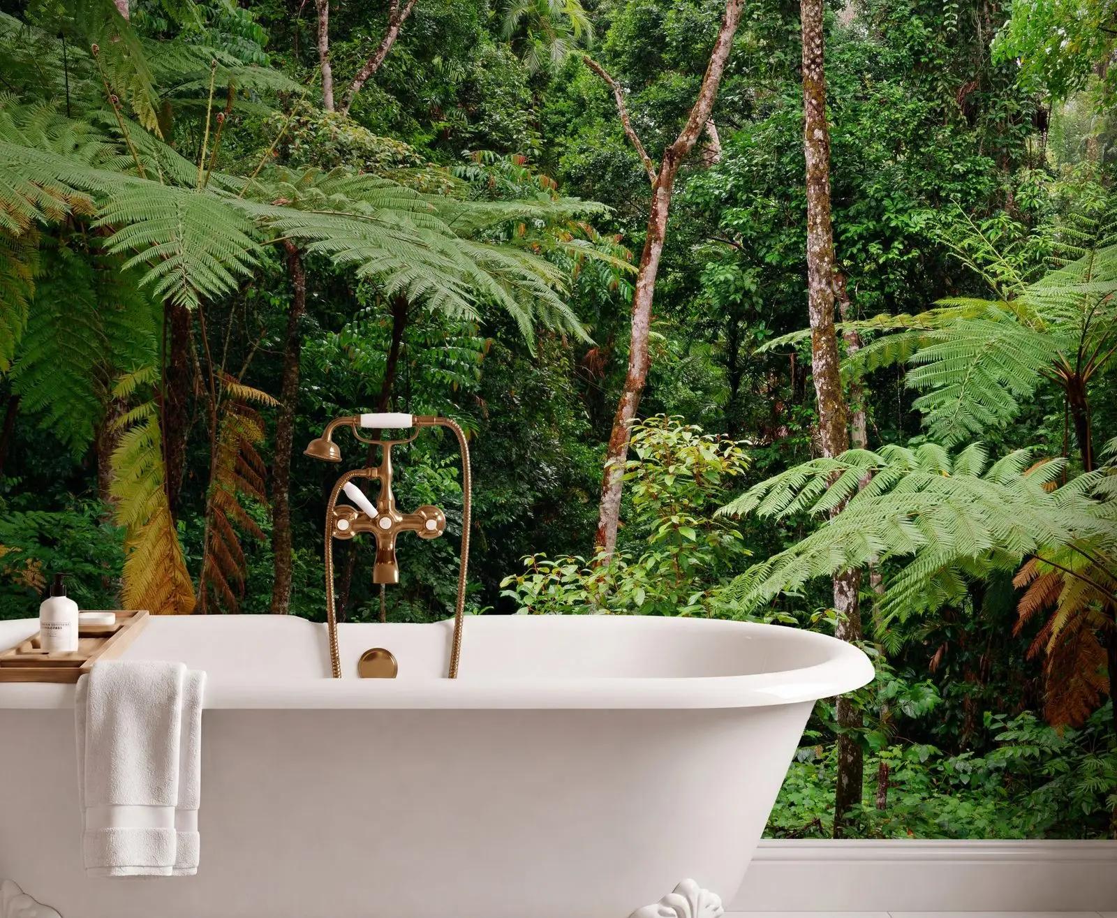 Tropical Rainforest Wallpaper Mural