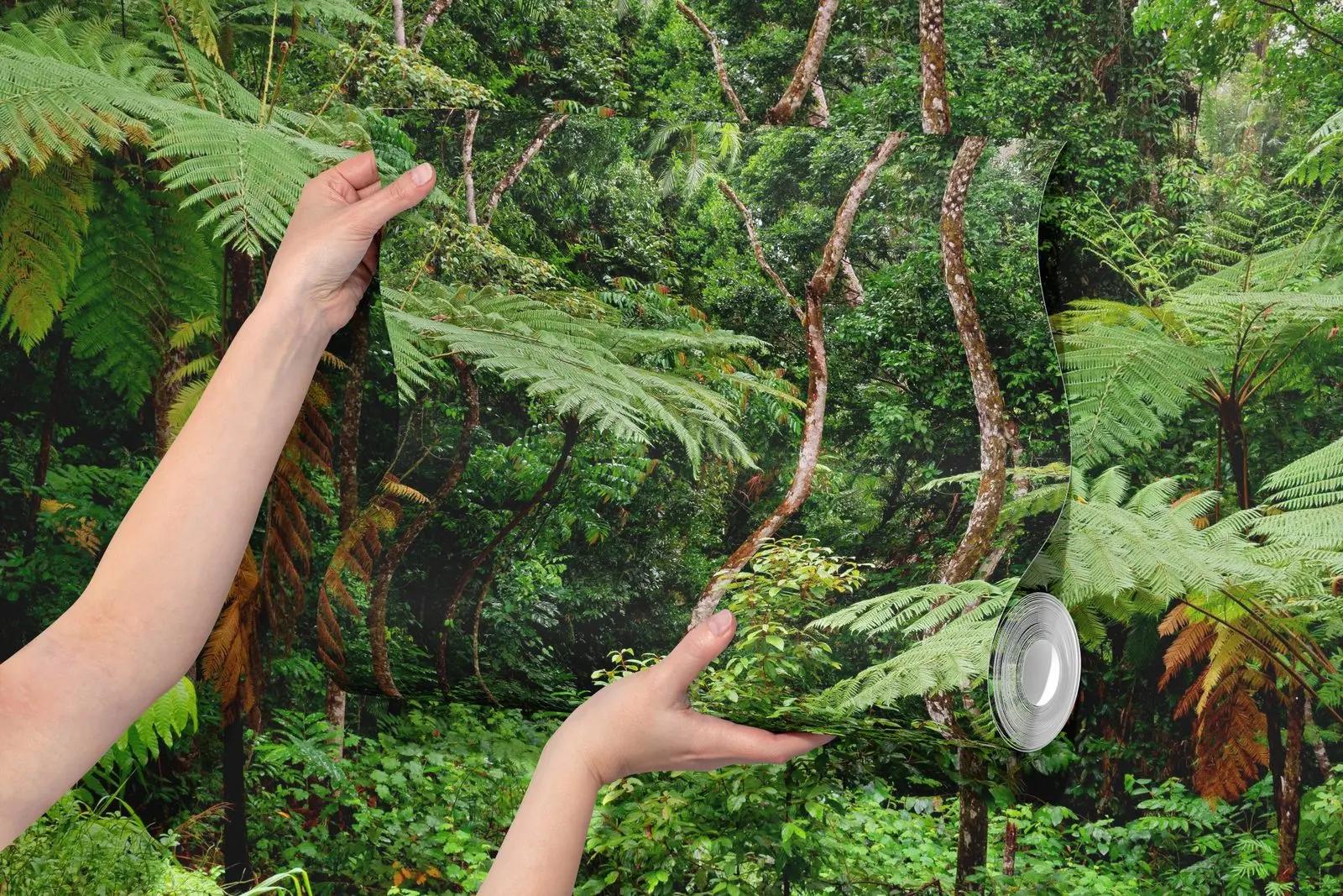 Tropical Rainforest Wallpaper Mural