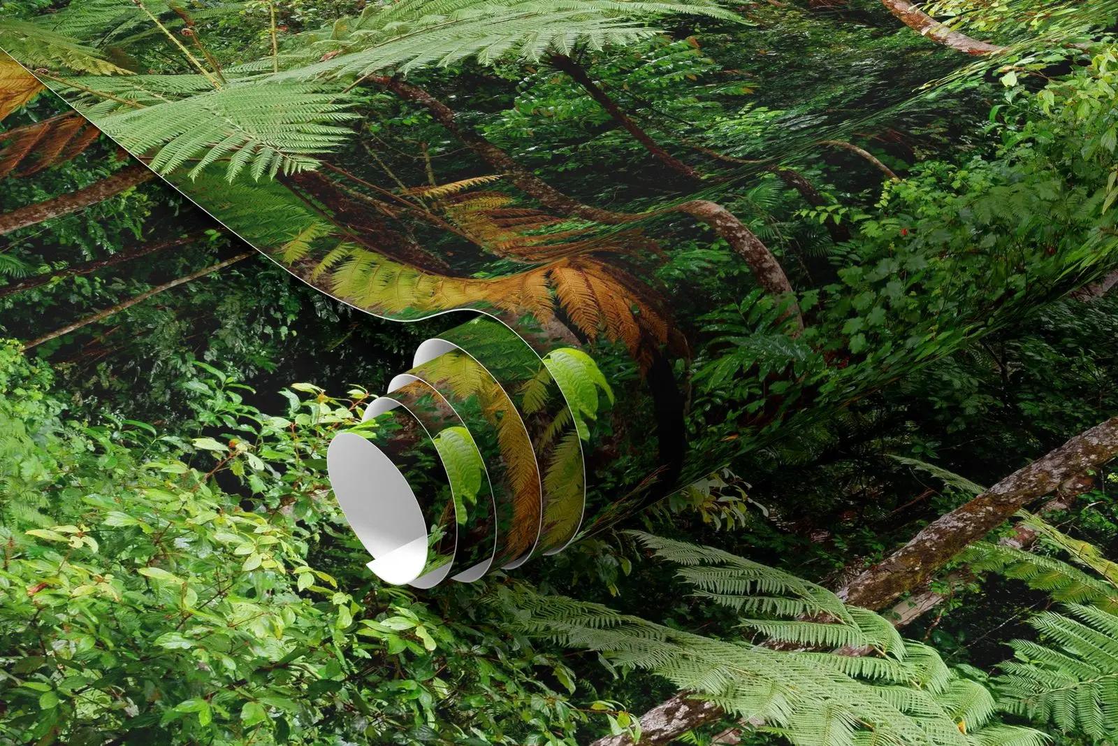 Tropical Rainforest Wallpaper Mural