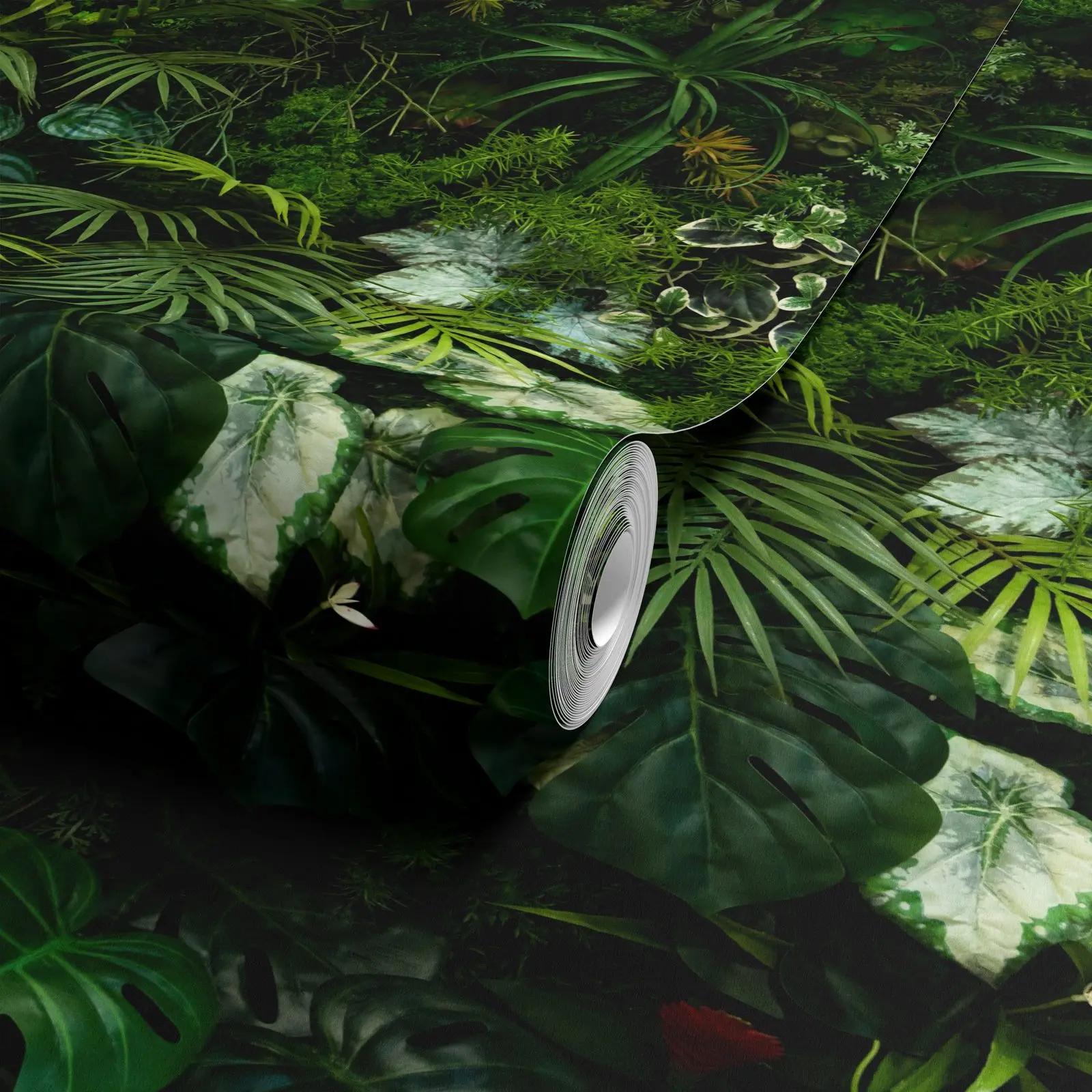 Tropical Jungle Wallpaper Mural