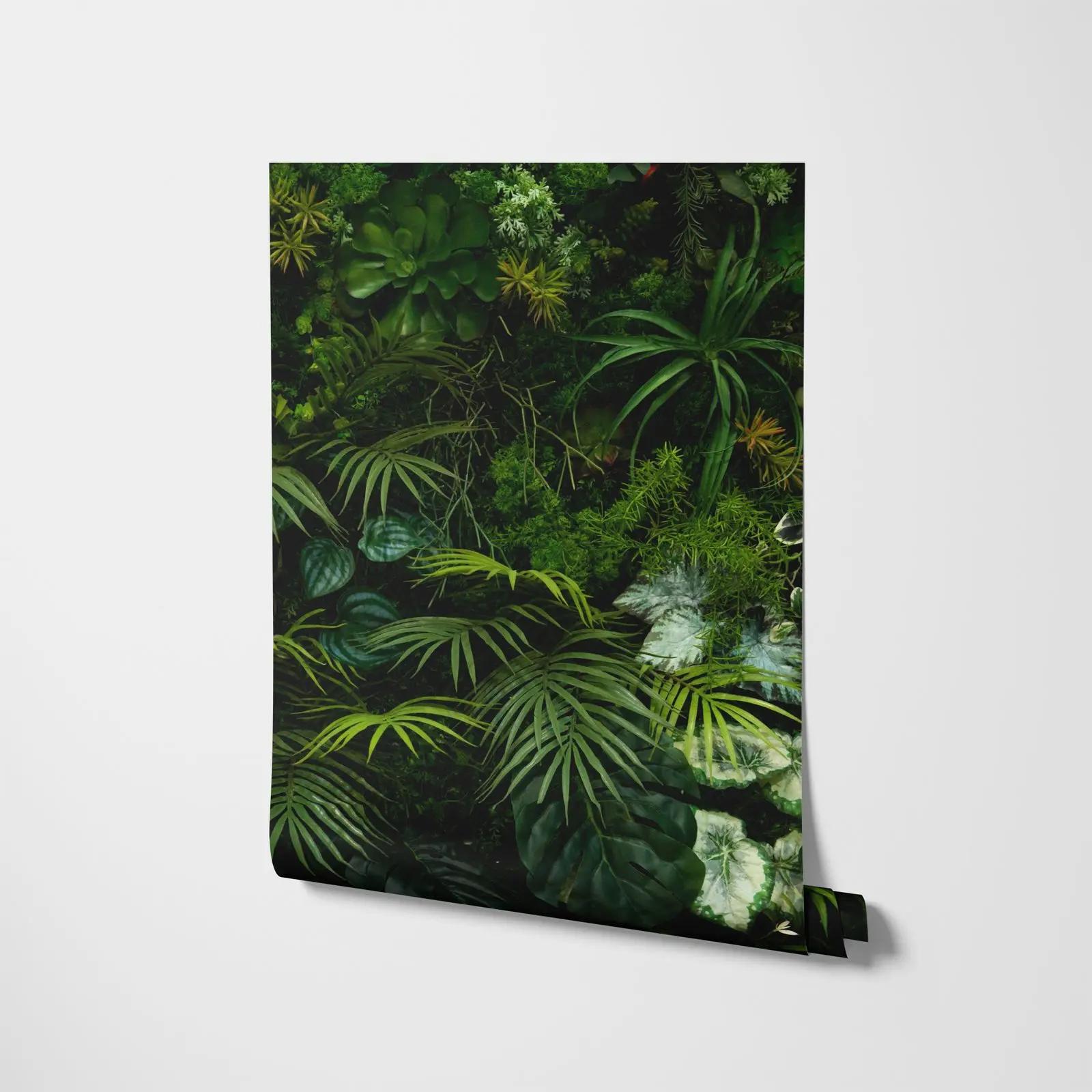 Tropical Jungle Wallpaper Mural